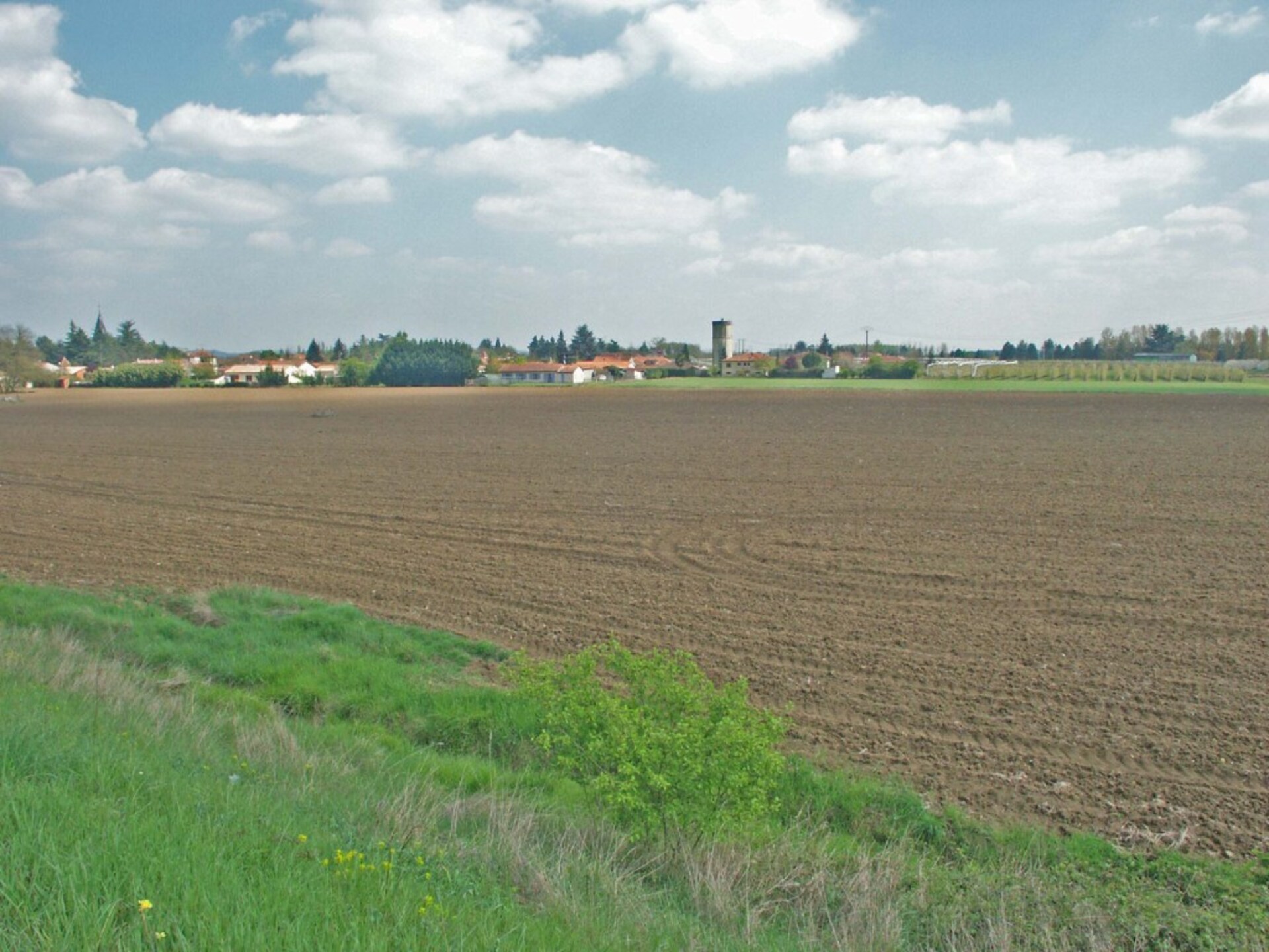 Terrain