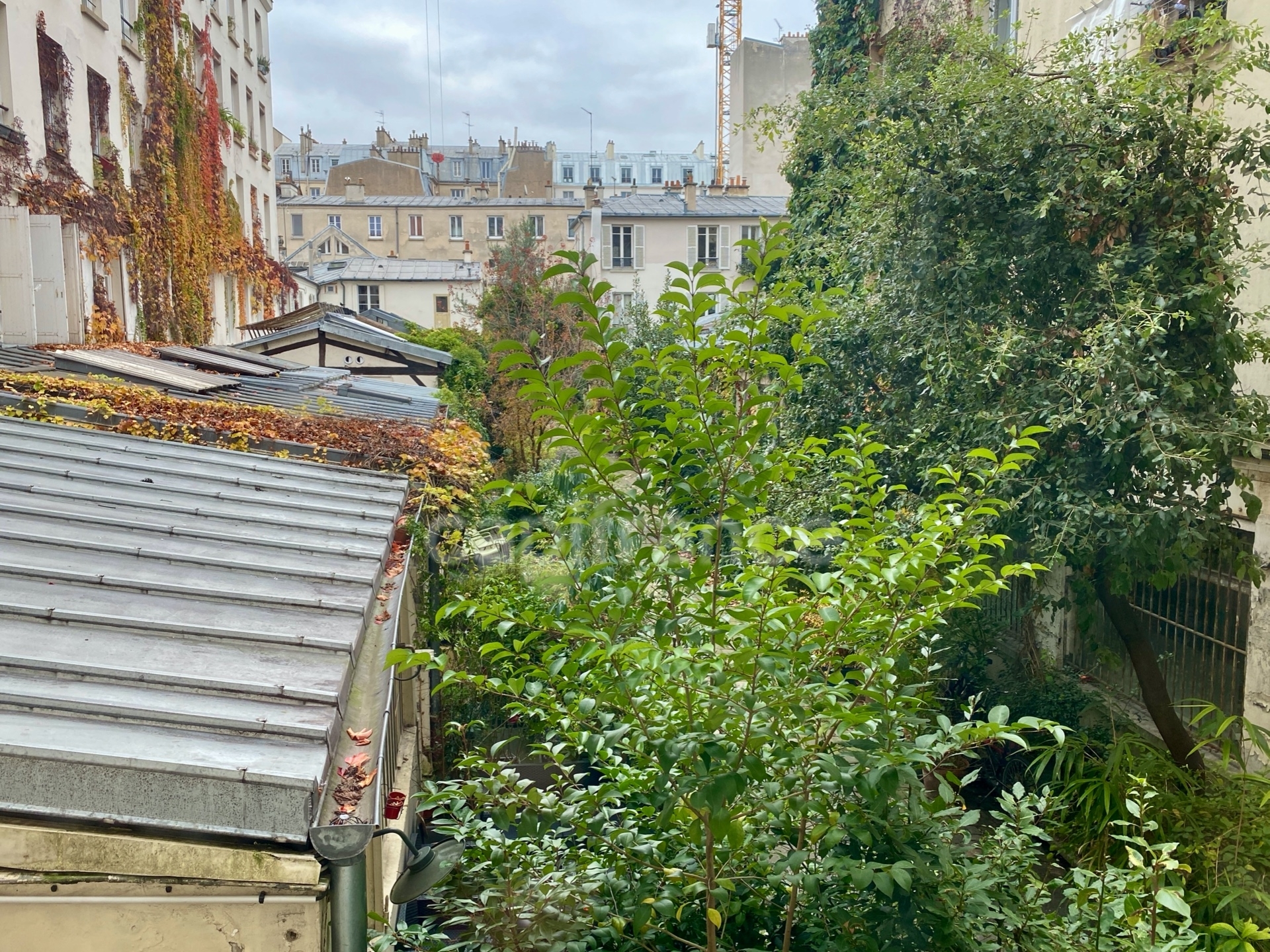 Appartement