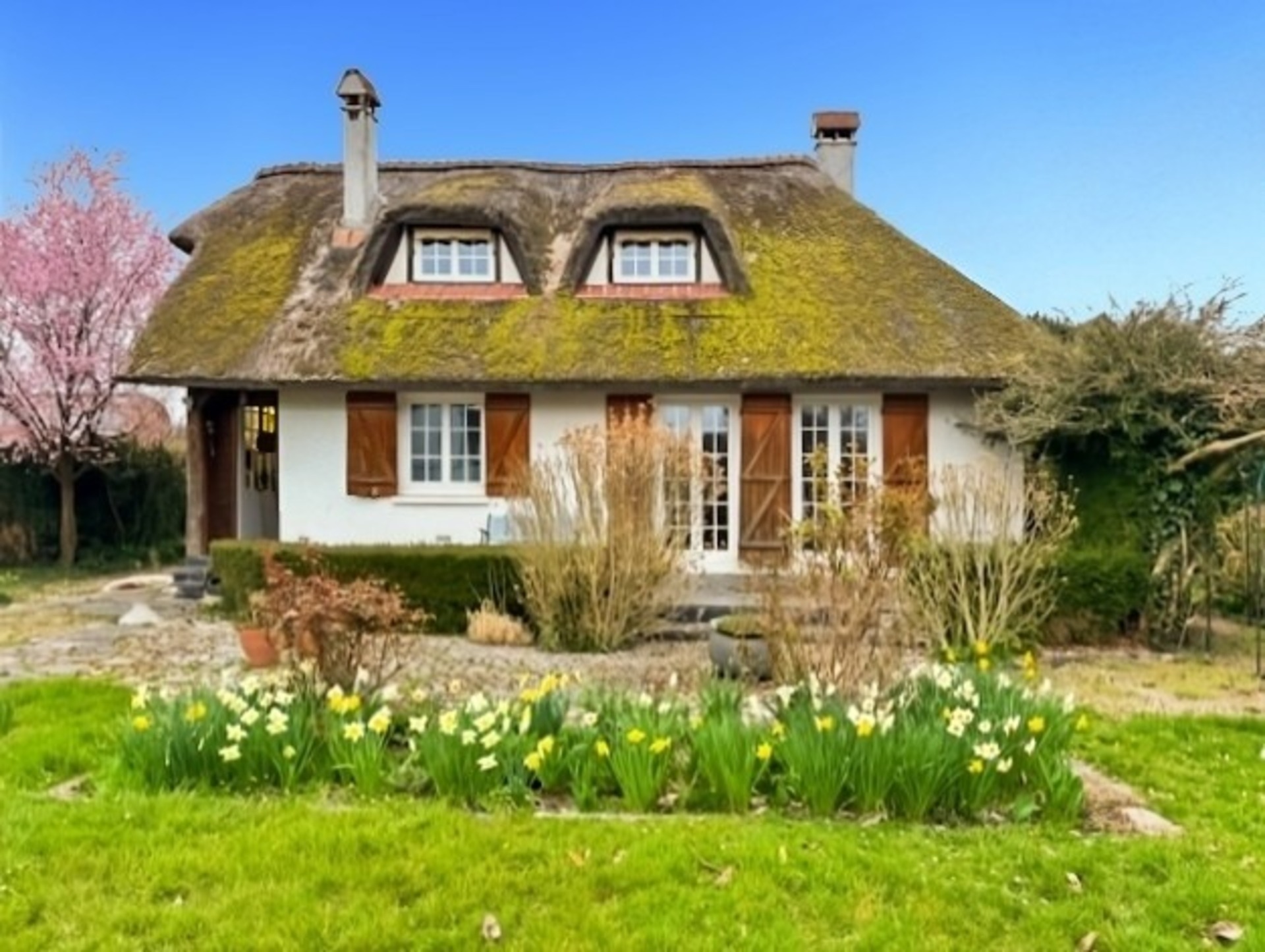 Maison