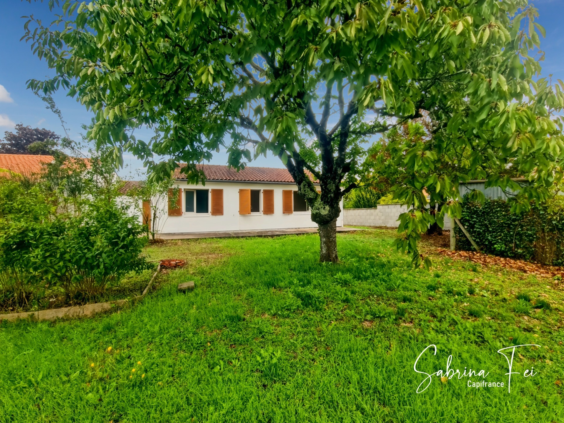 Maison