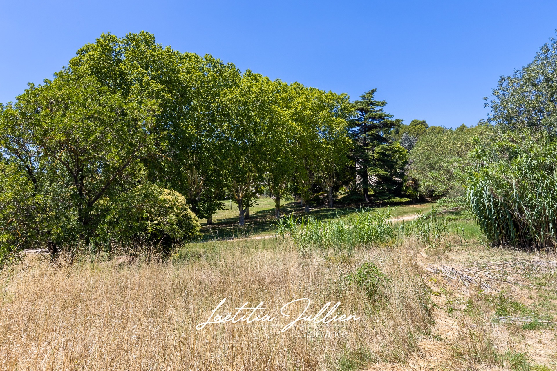 Terrain