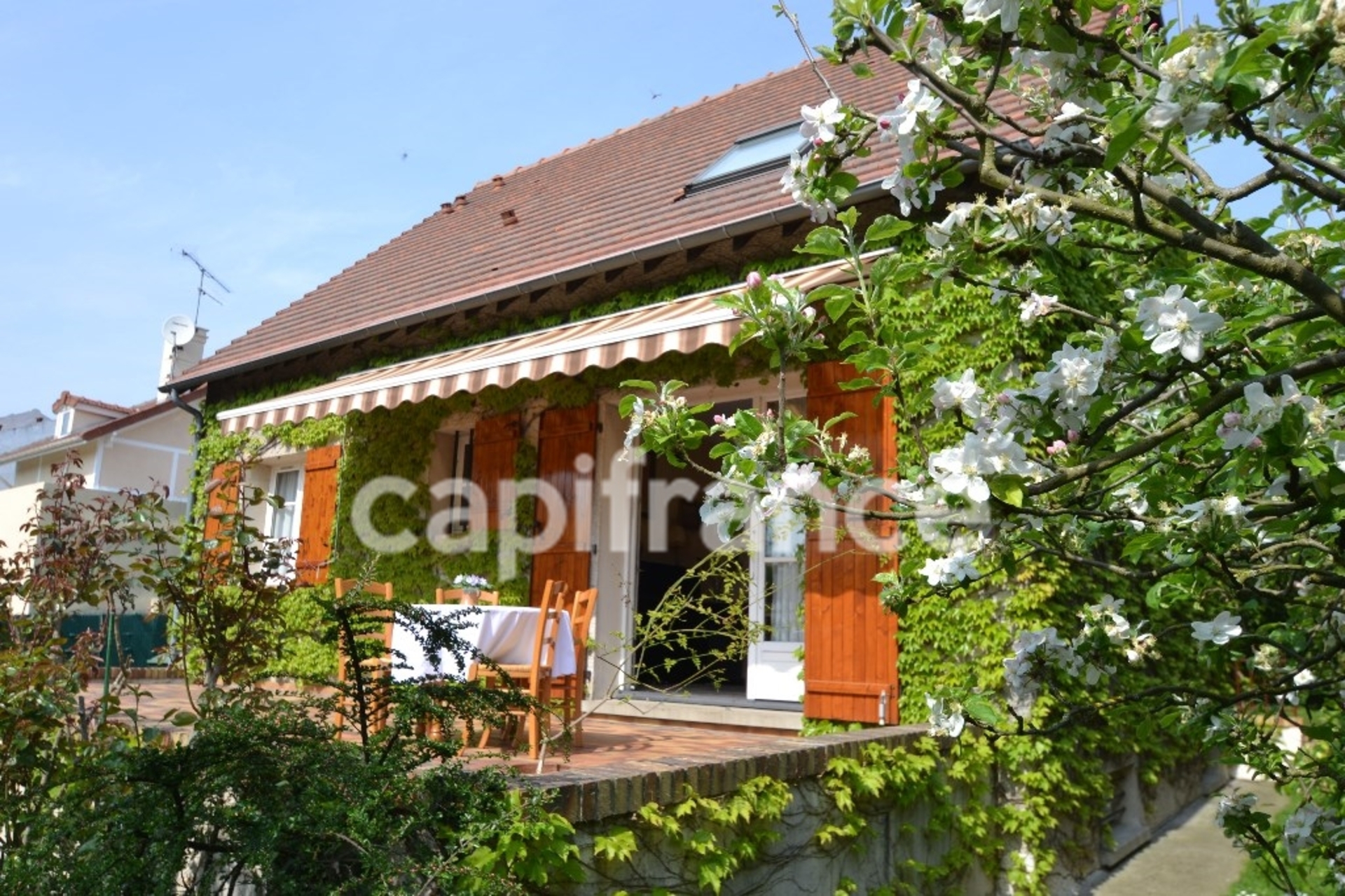 Maison