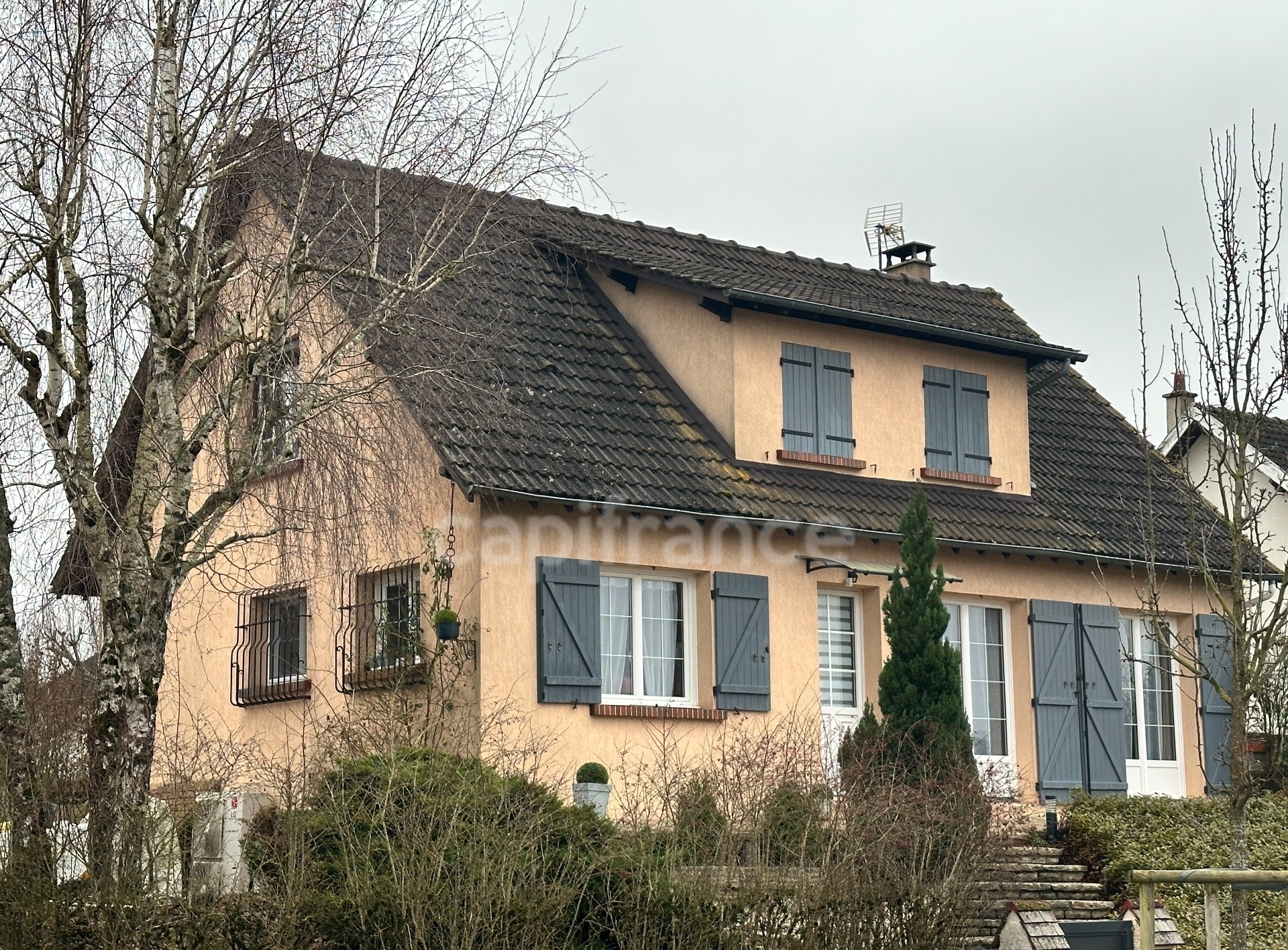 Maison