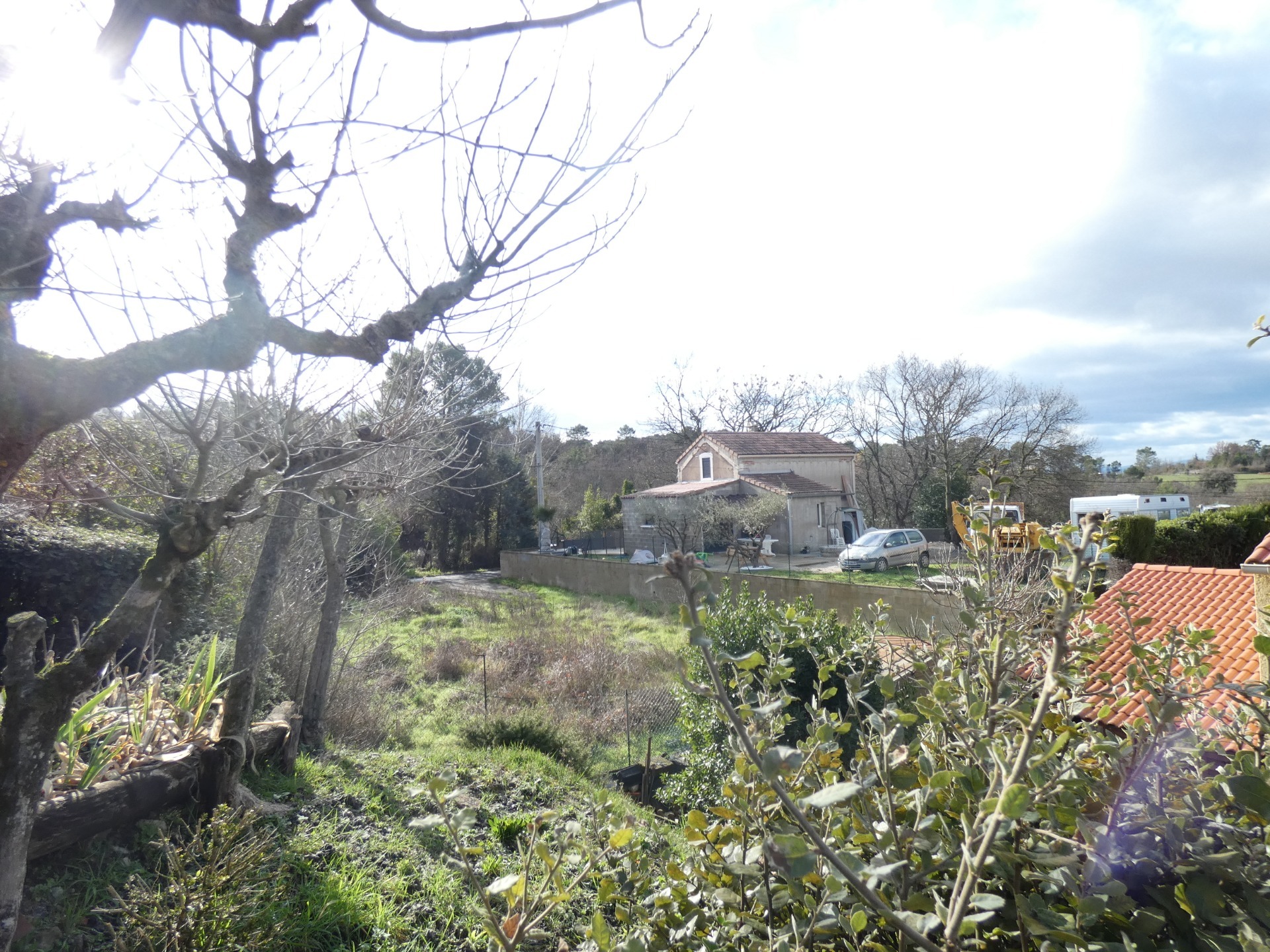 Terrain