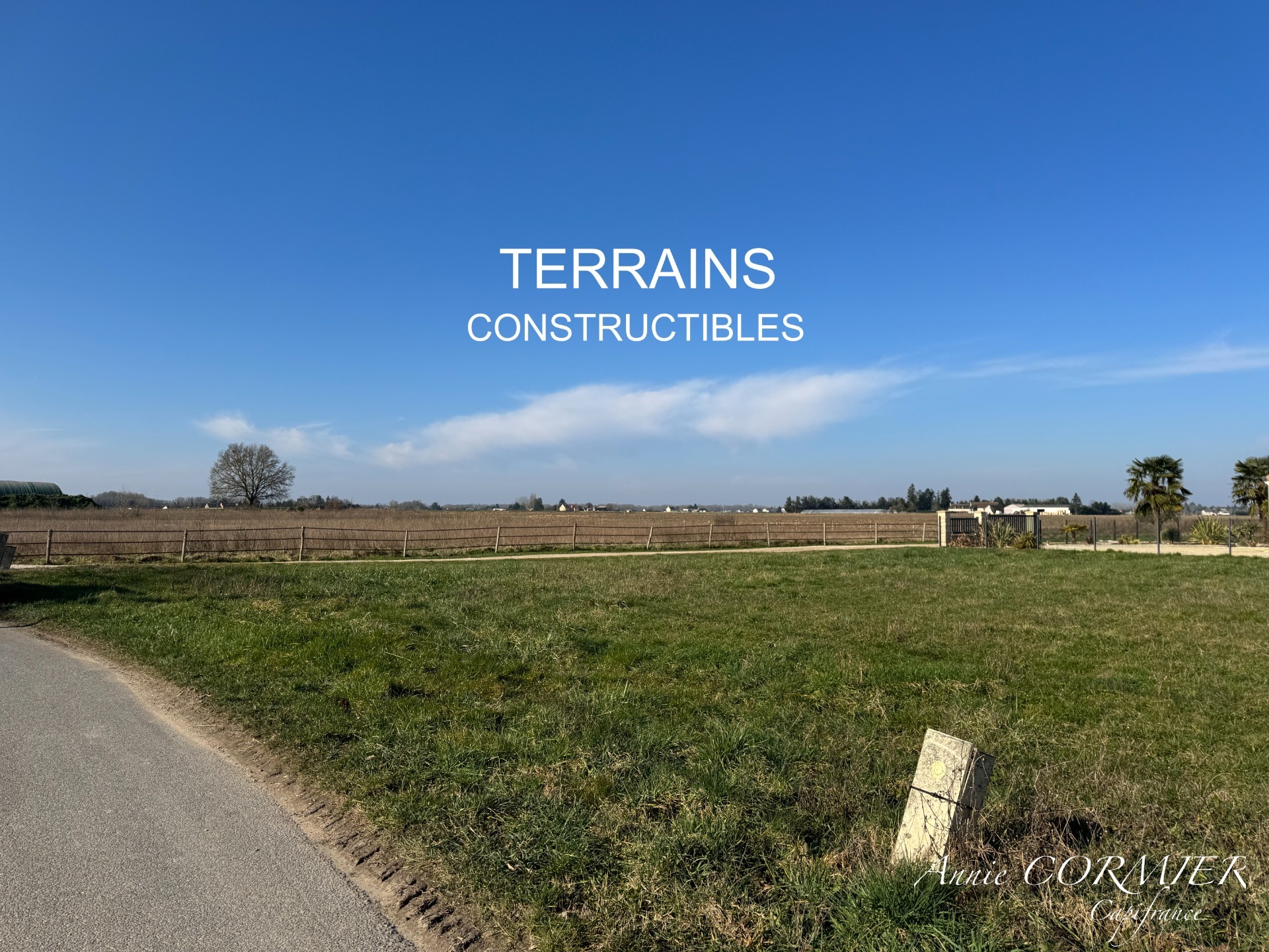 Terrain