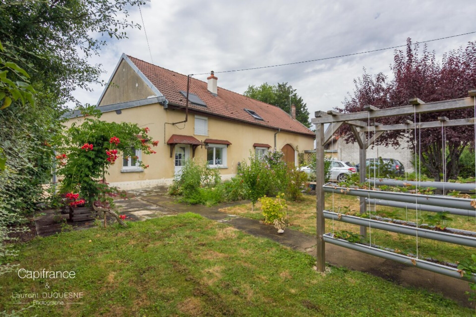 Maison