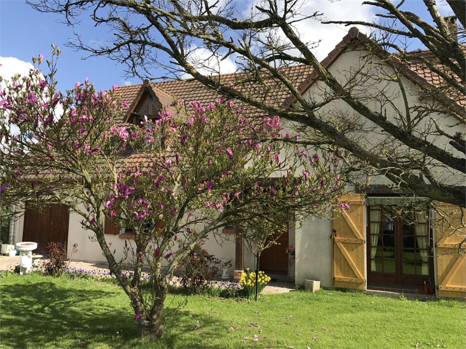 Maison
