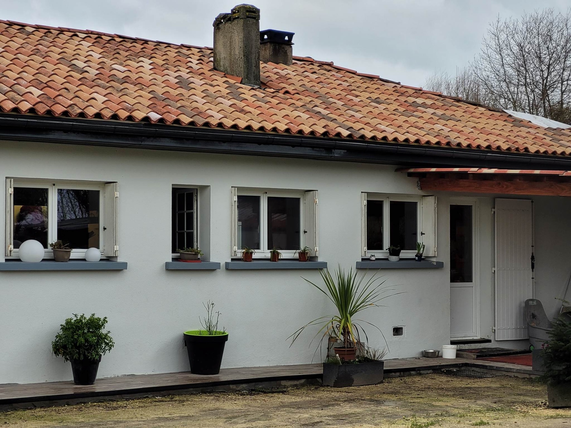 Maison