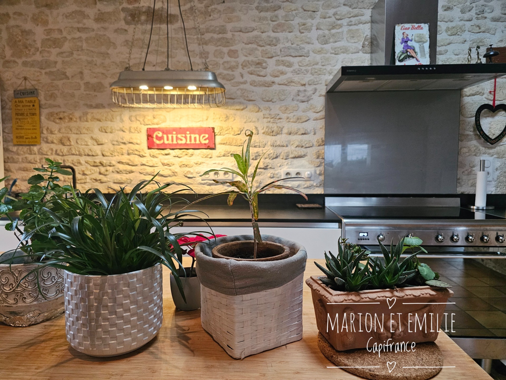 Maison