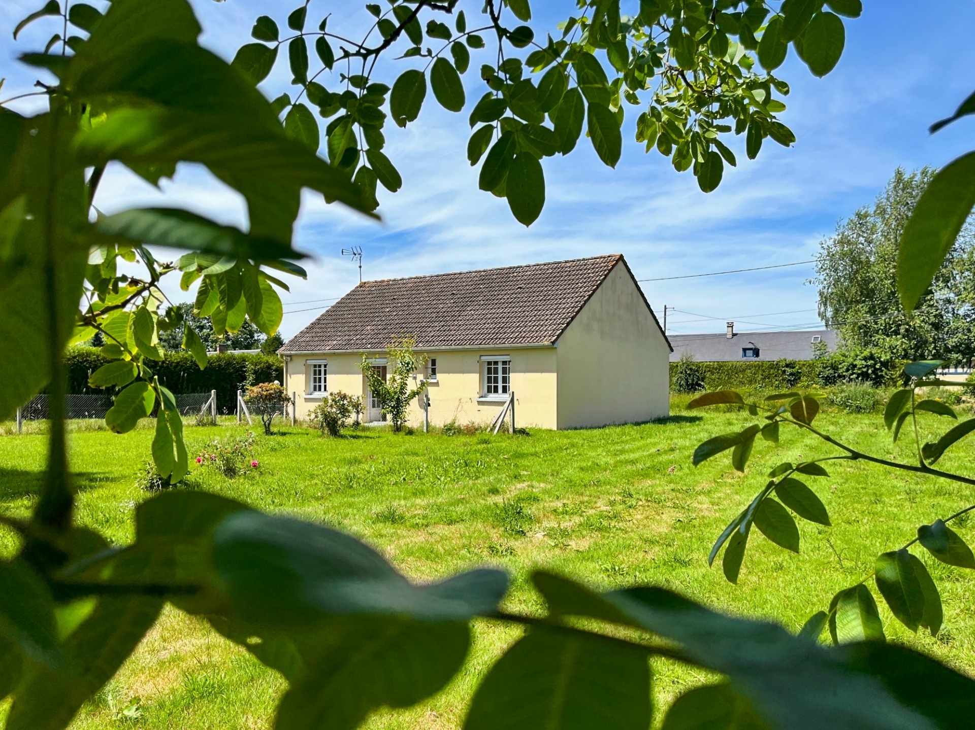 Maison