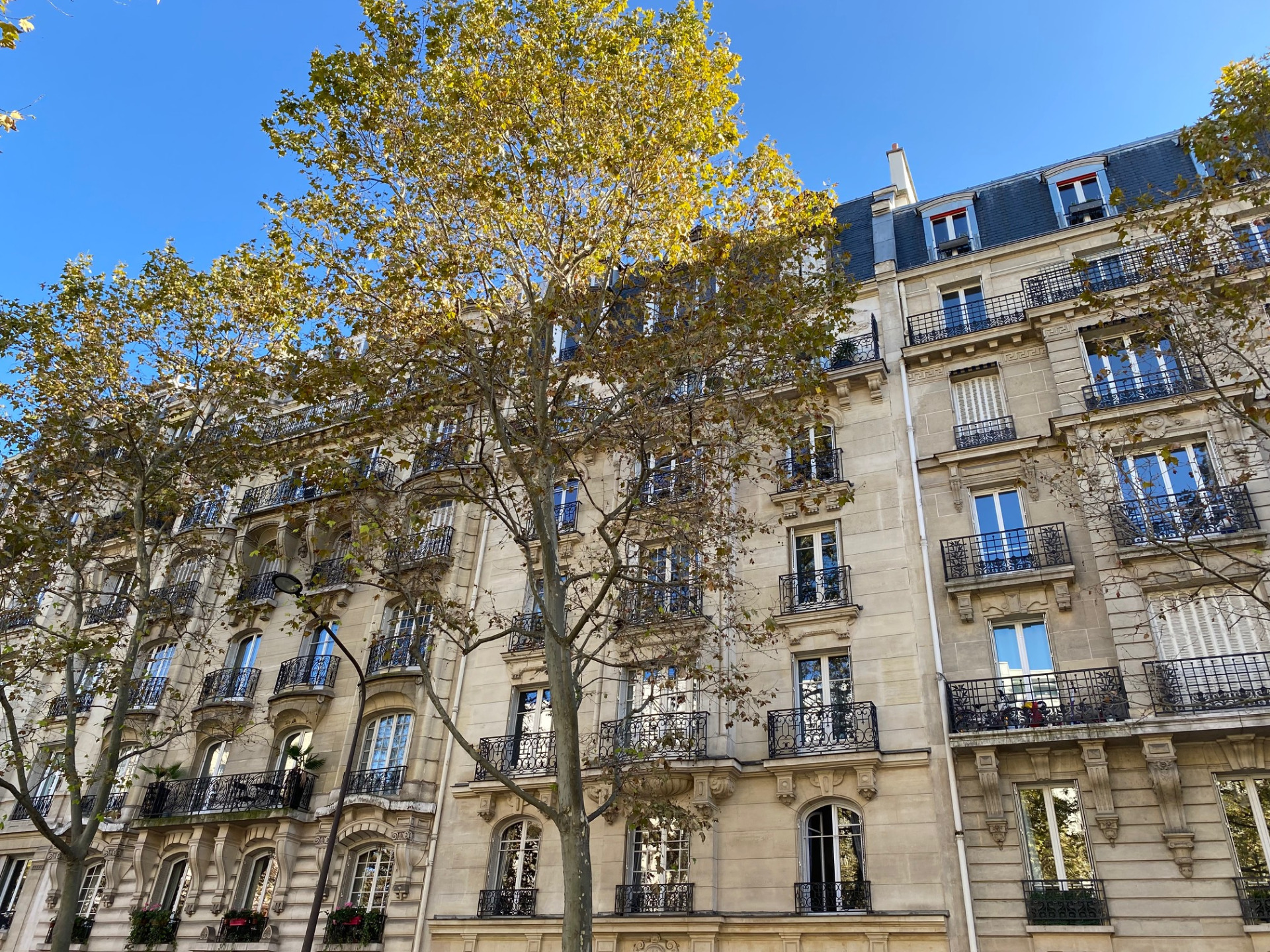 Appartement