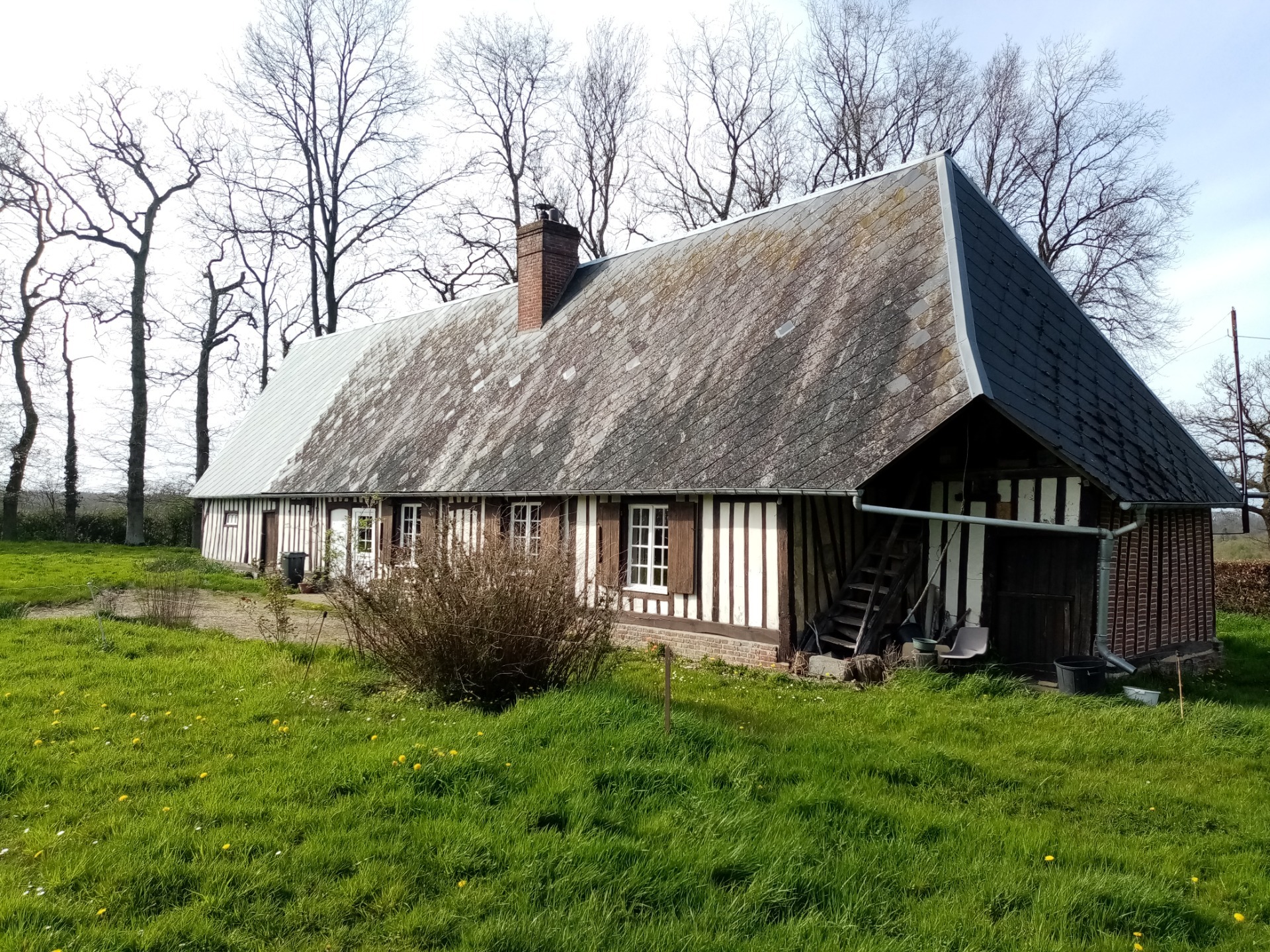 Maison