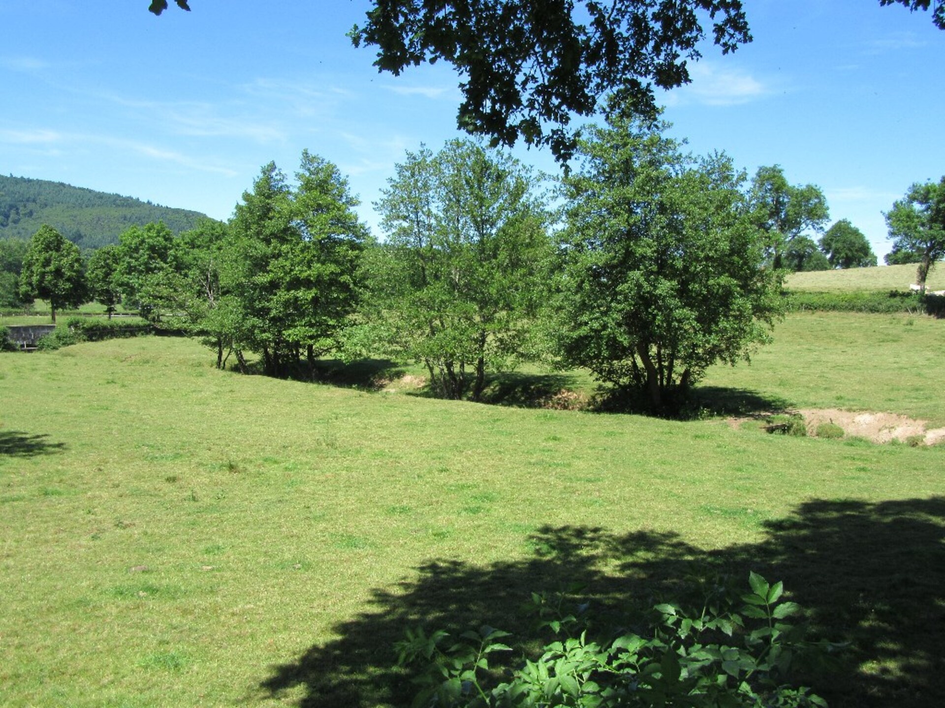 Terrain