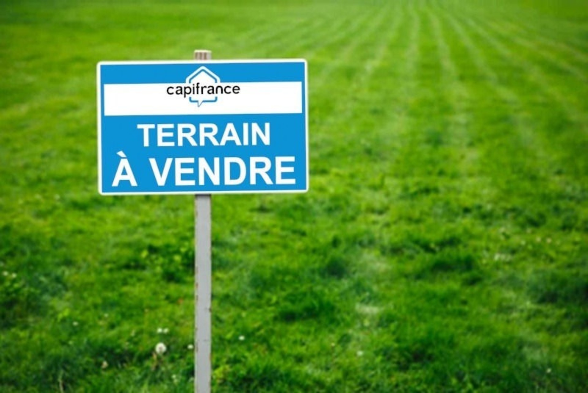 Terrain