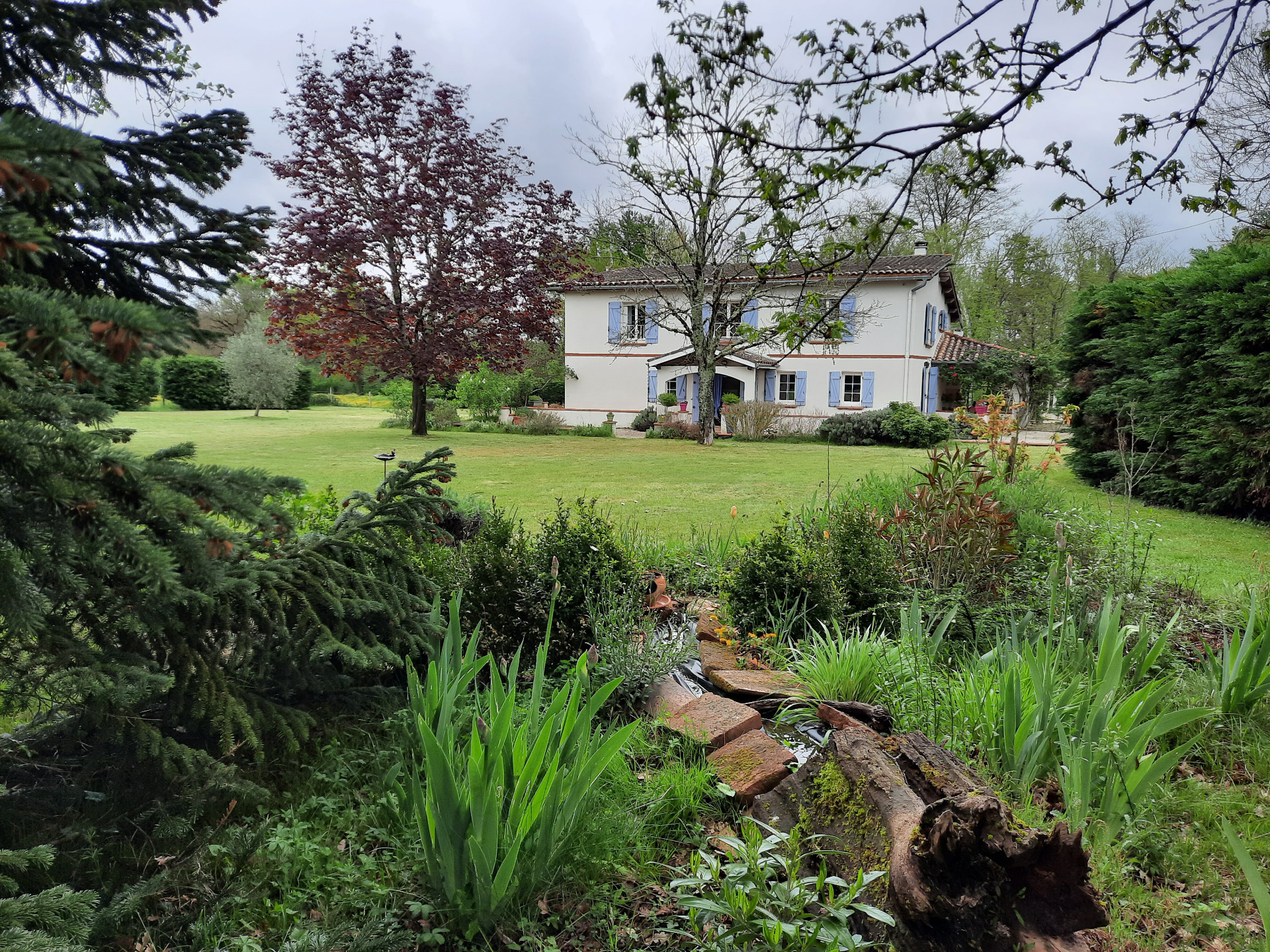 Maison