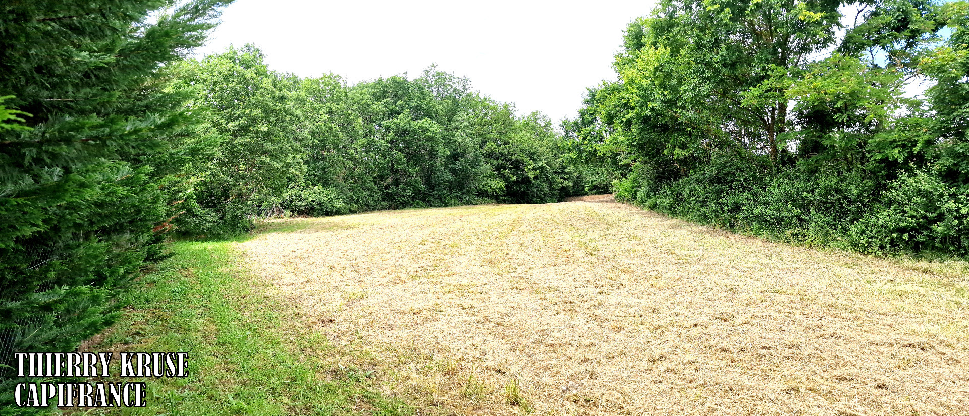 Terrain