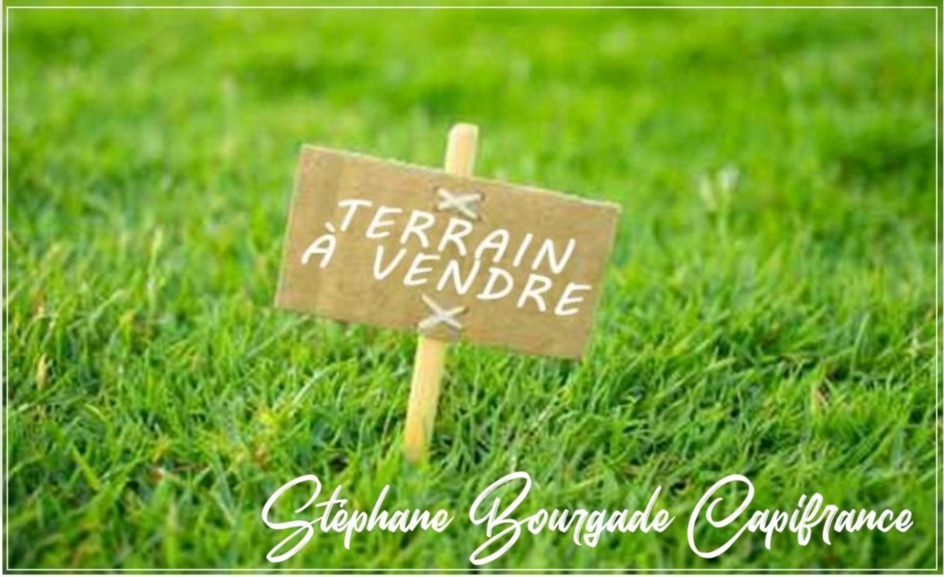 Terrain