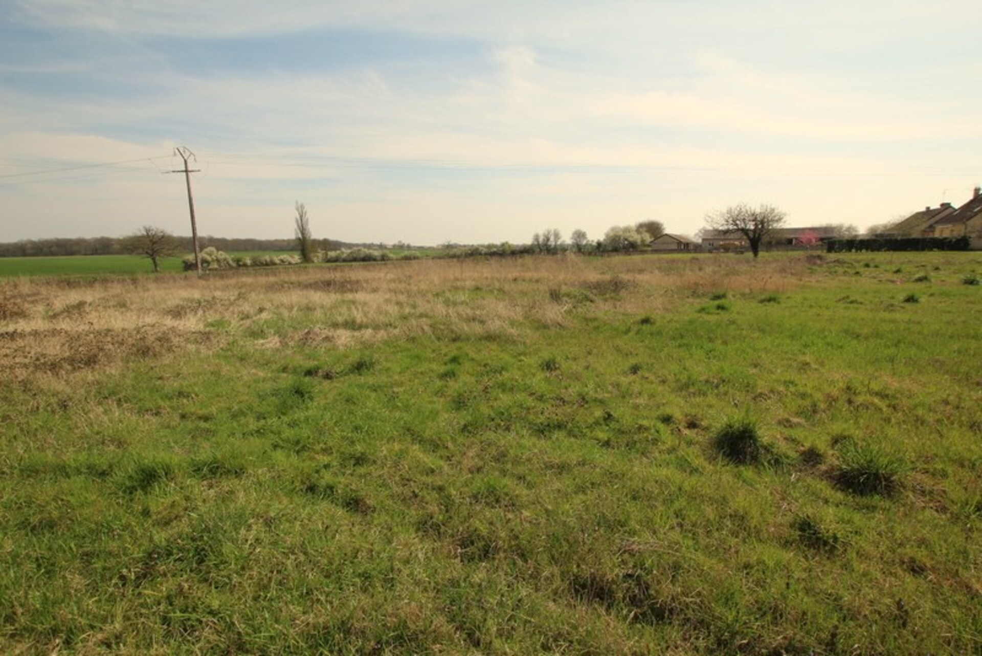 Terrain