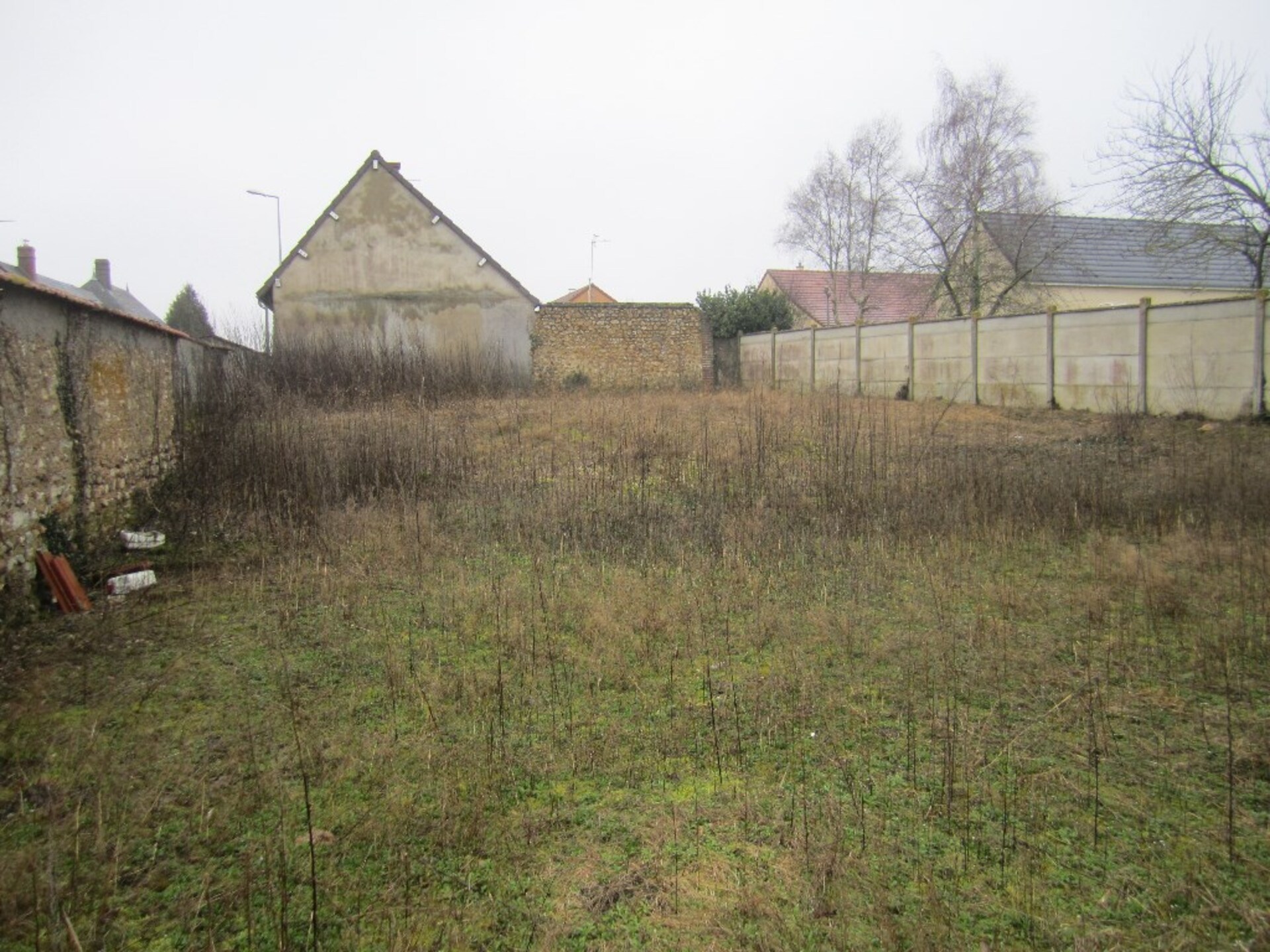 Terrain