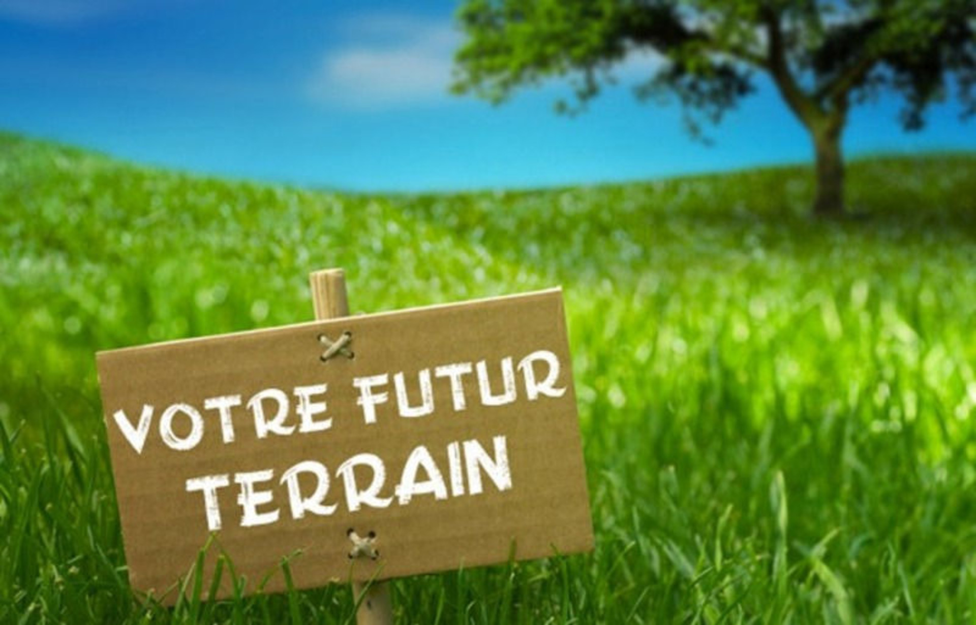 Terrain