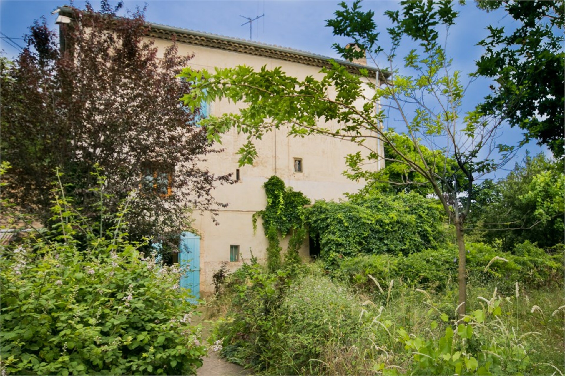 Maison