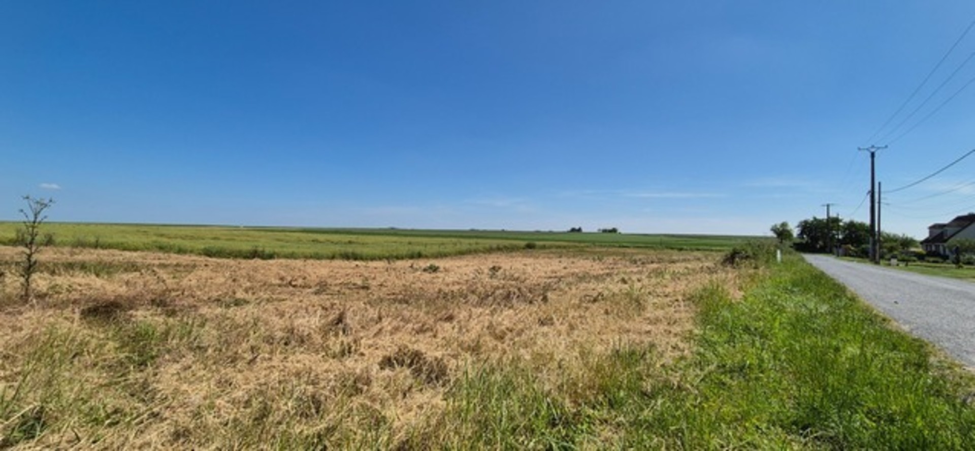 Terrain