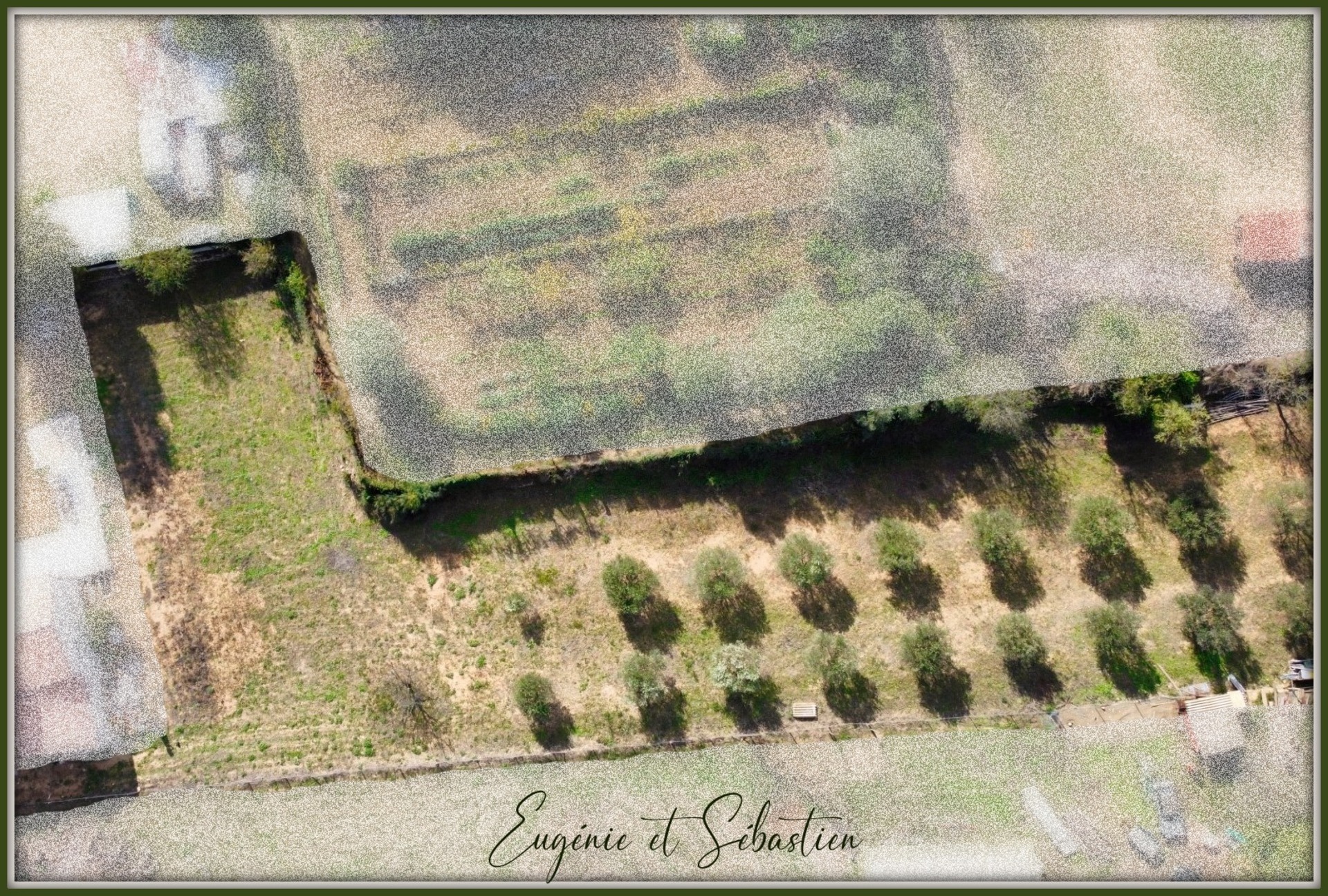 Terrain