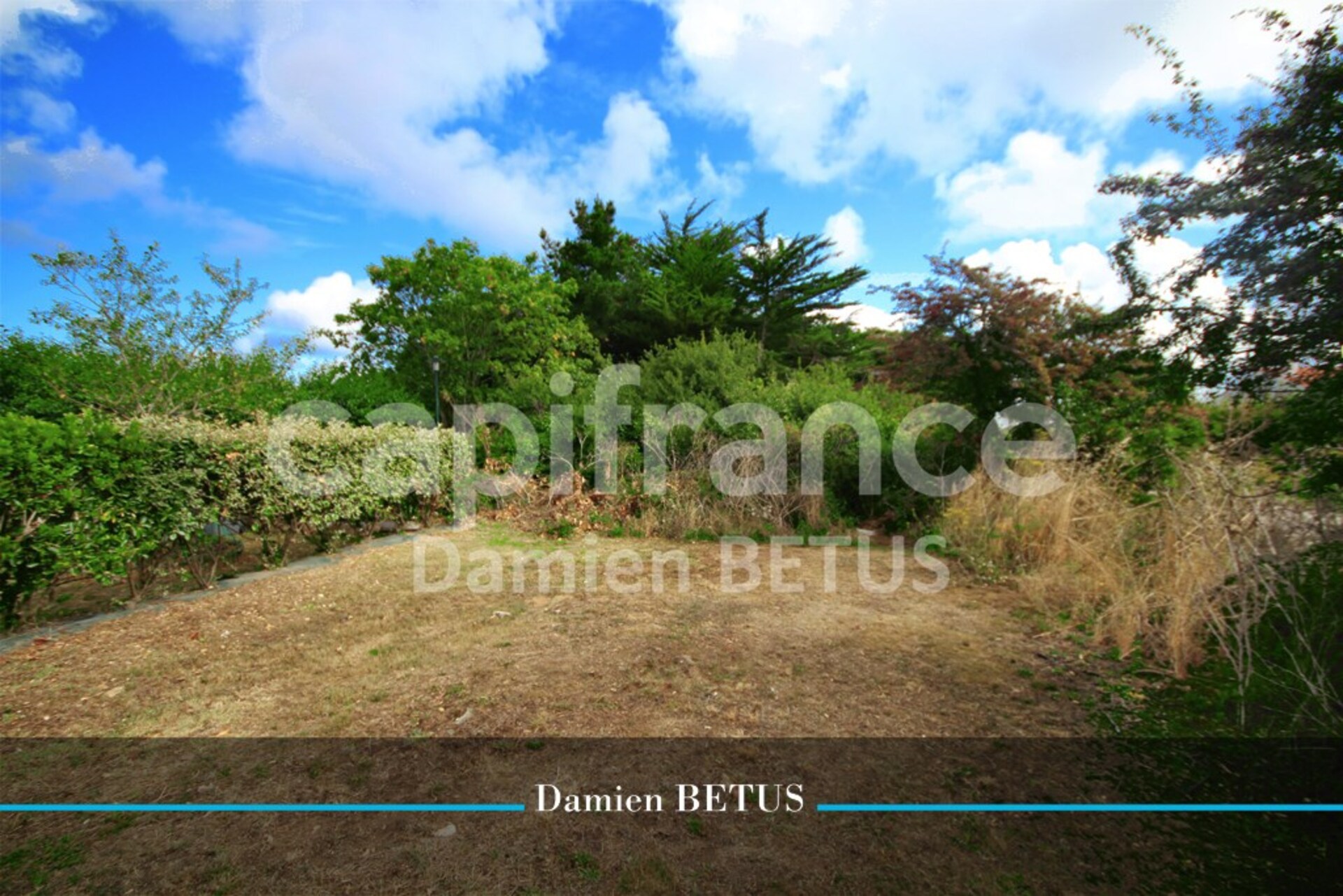 Terrain
