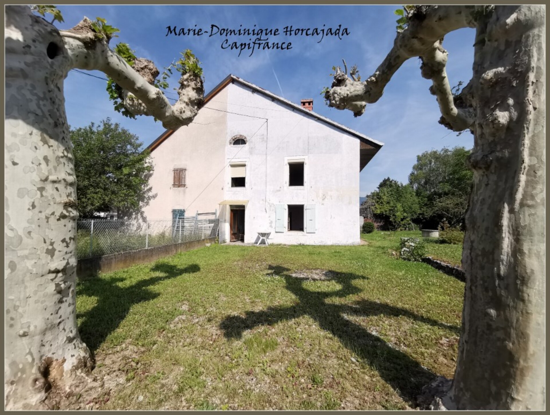 Maison
