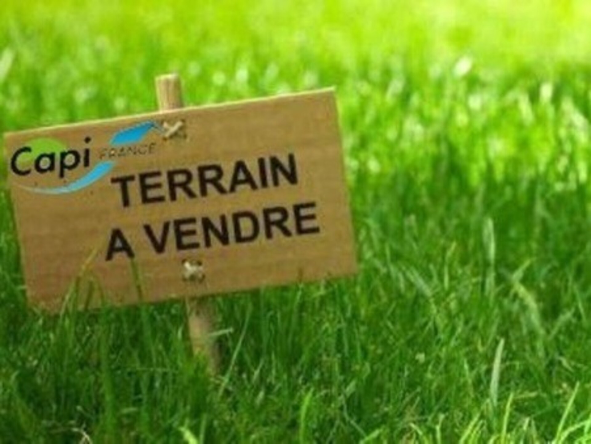 Terrain