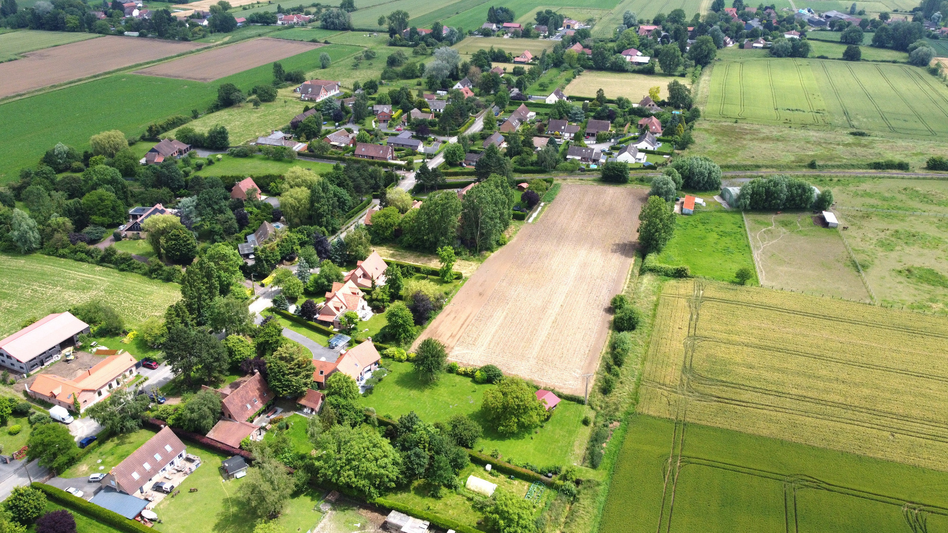 Terrain