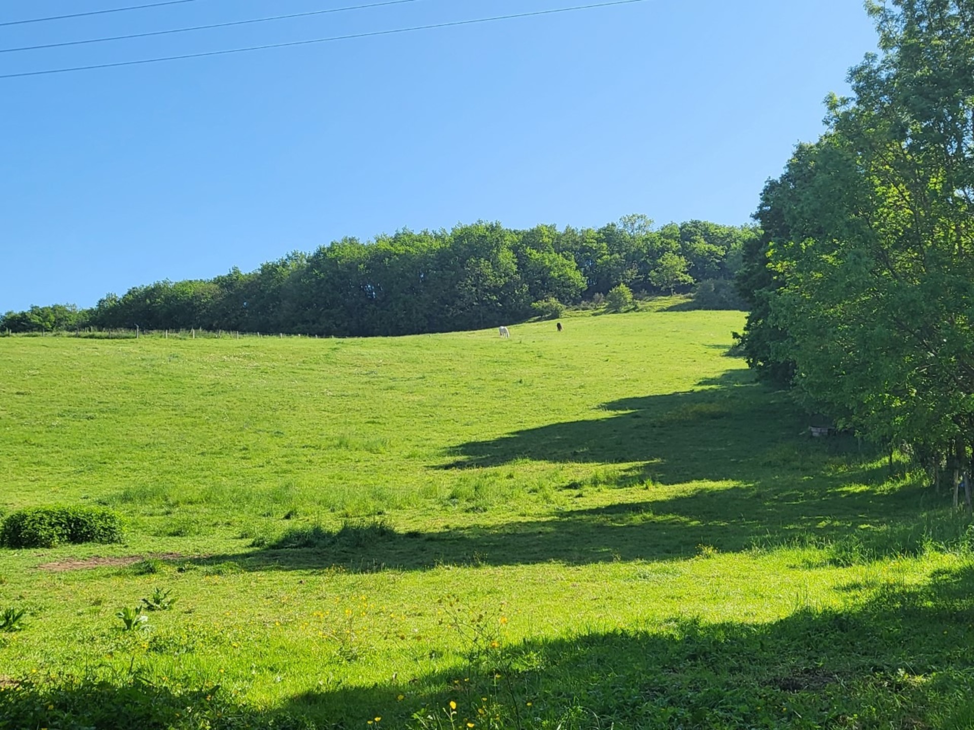 Terrain