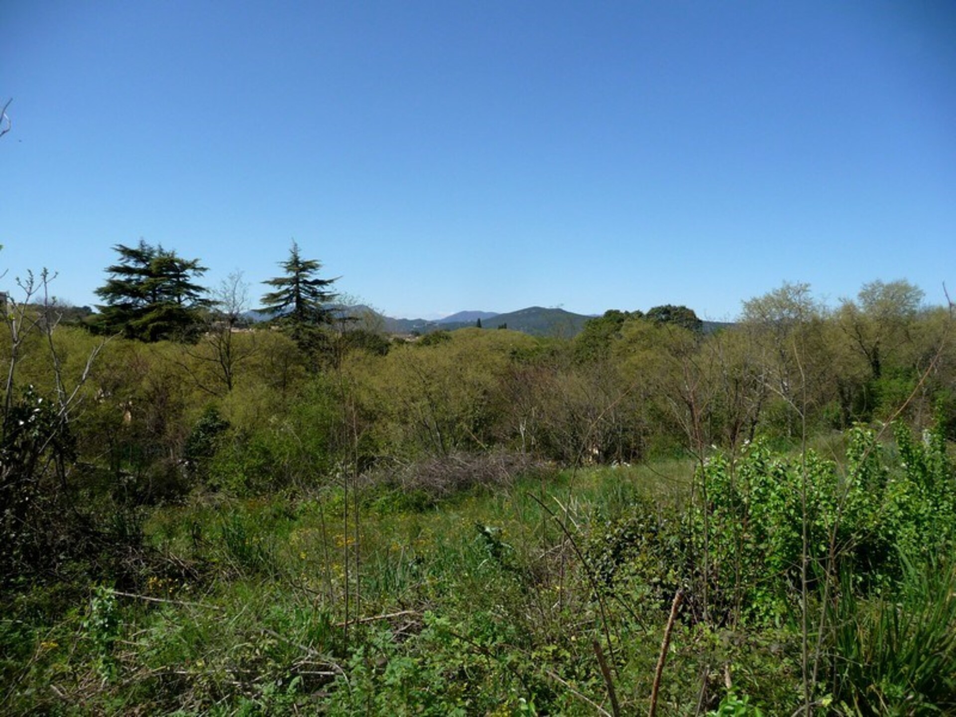 Terrain