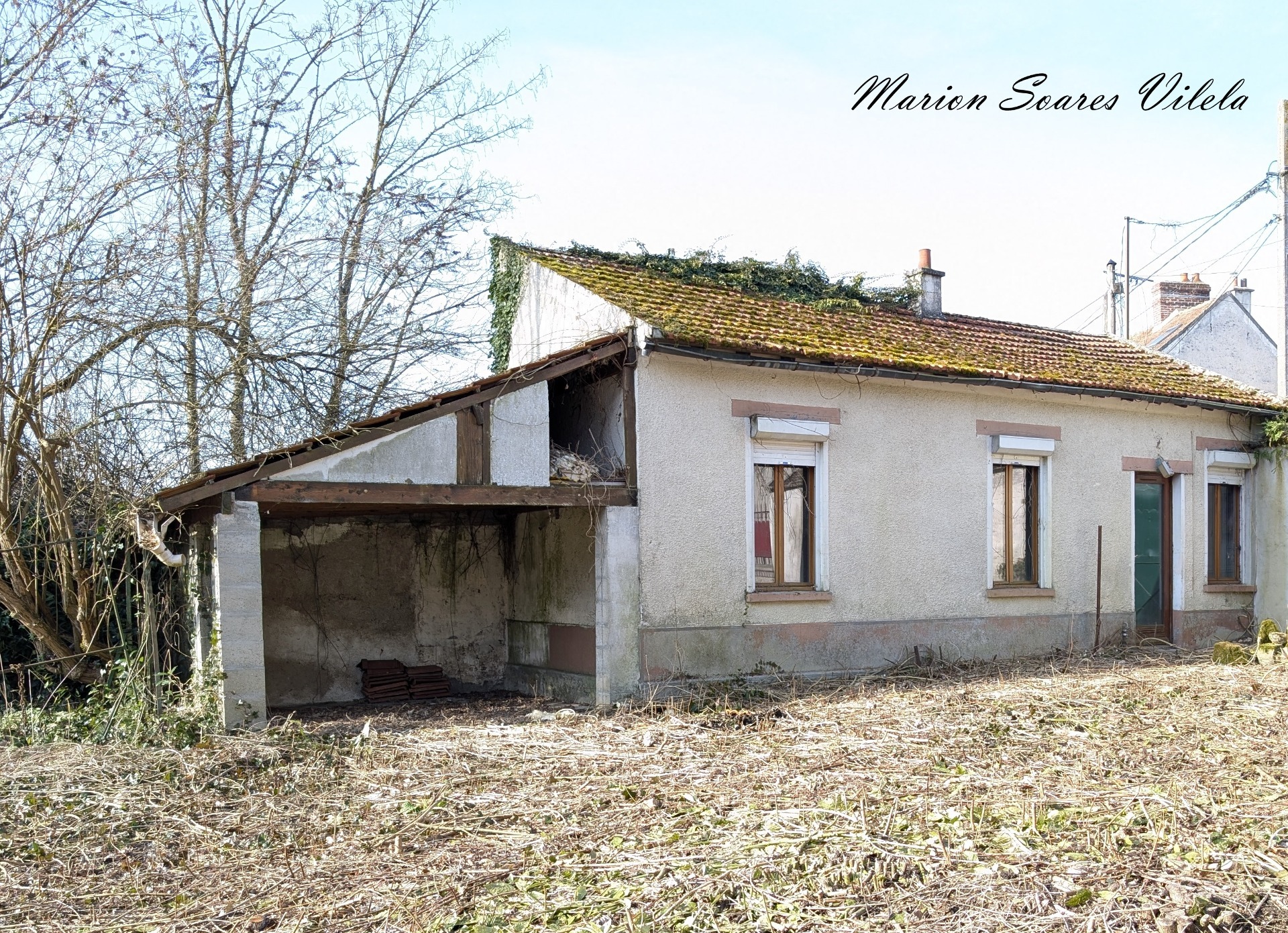 Maison