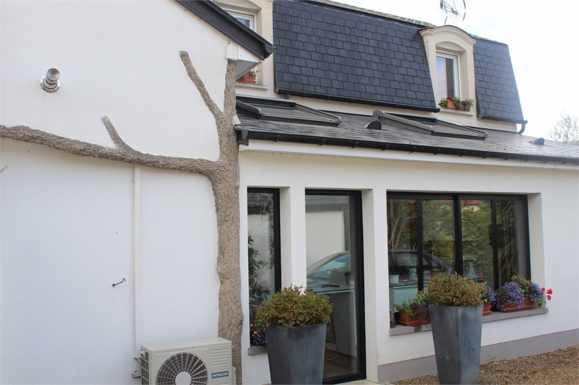 Maison