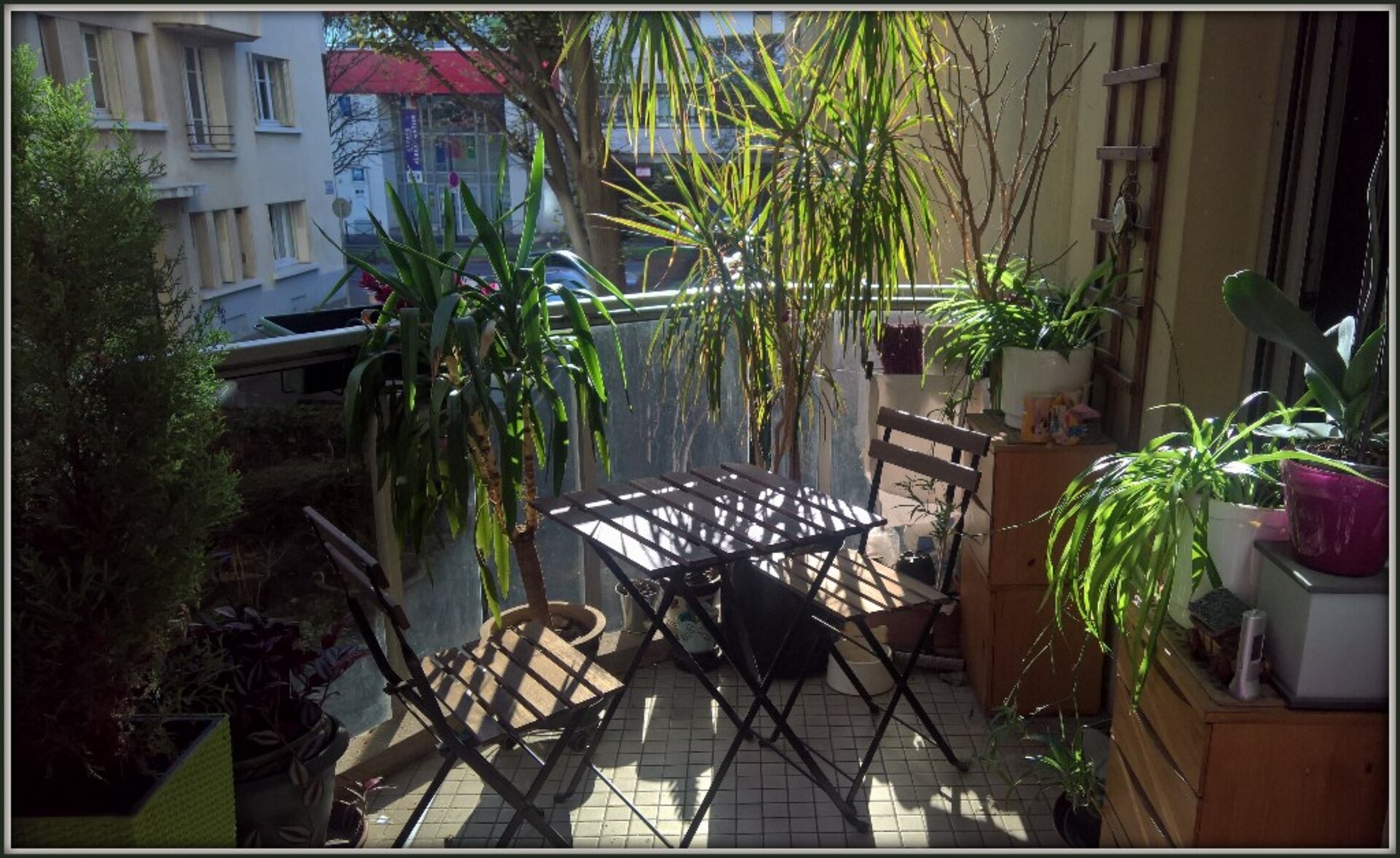 Appartement