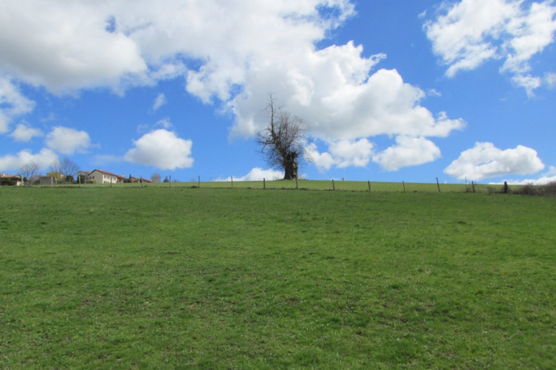 Terrain