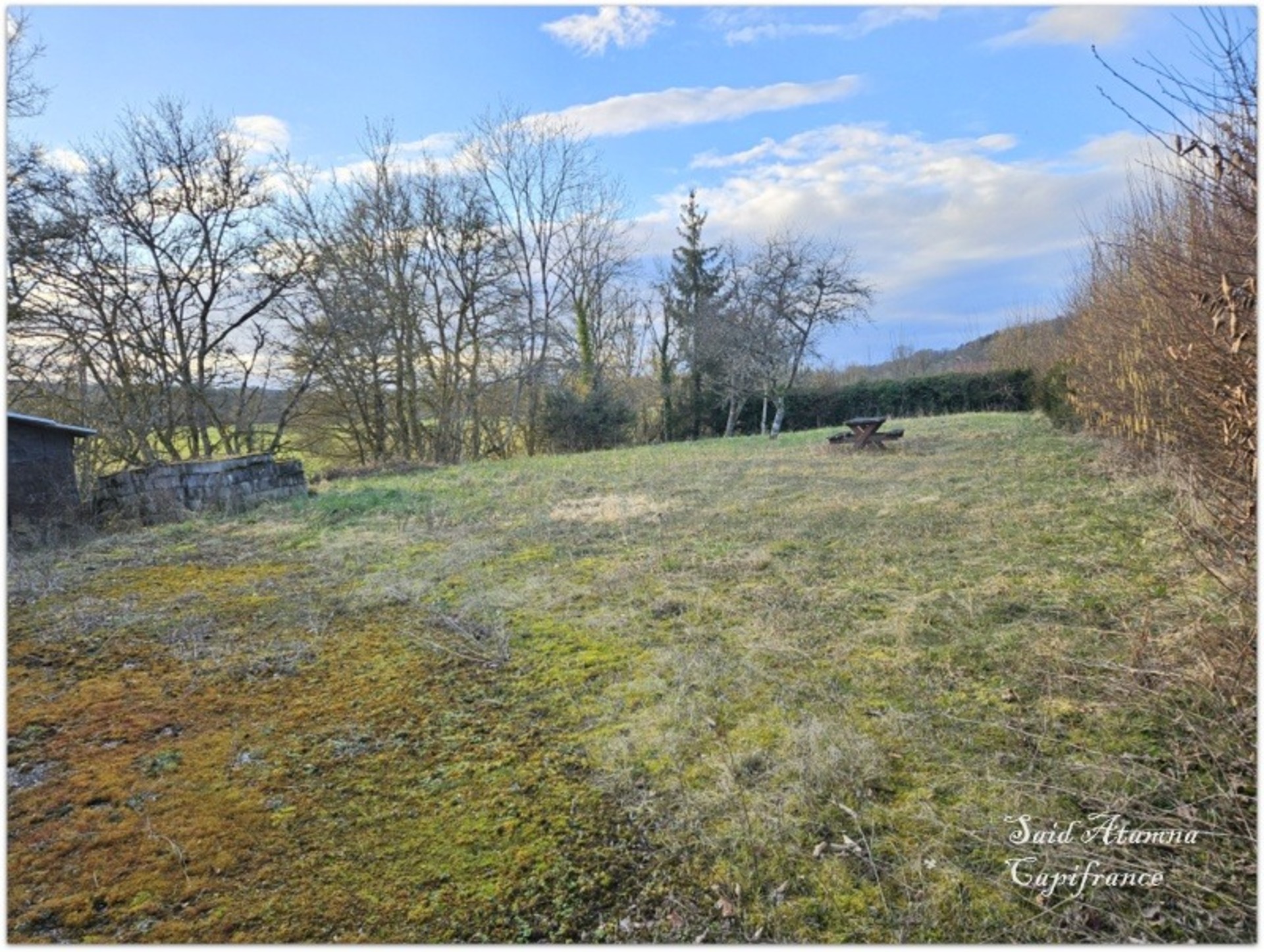 Terrain