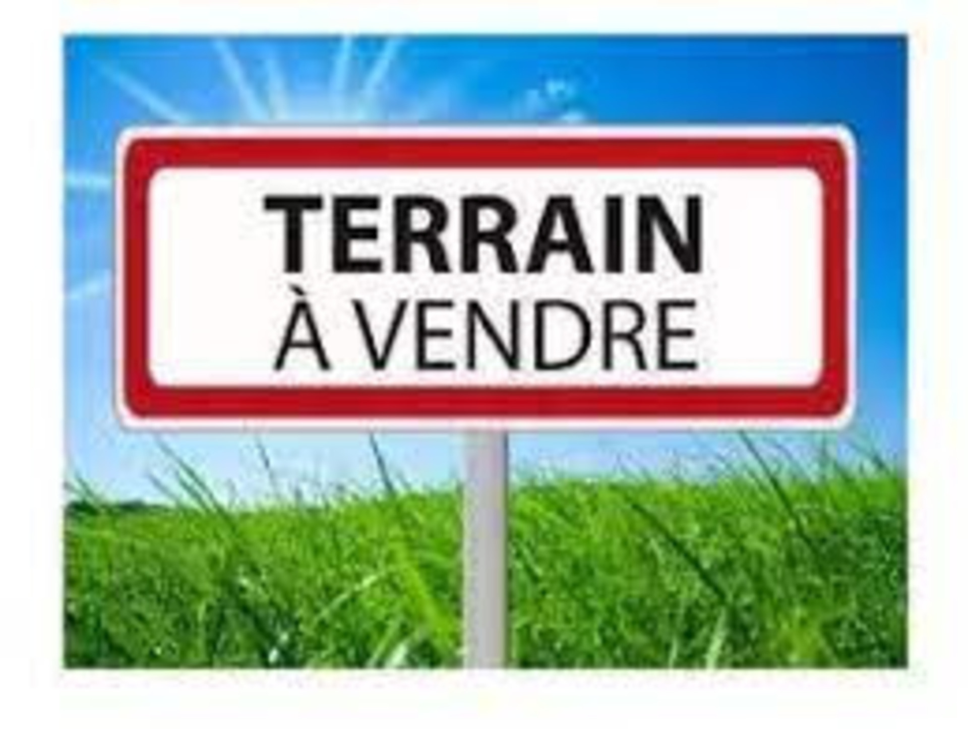 Terrain