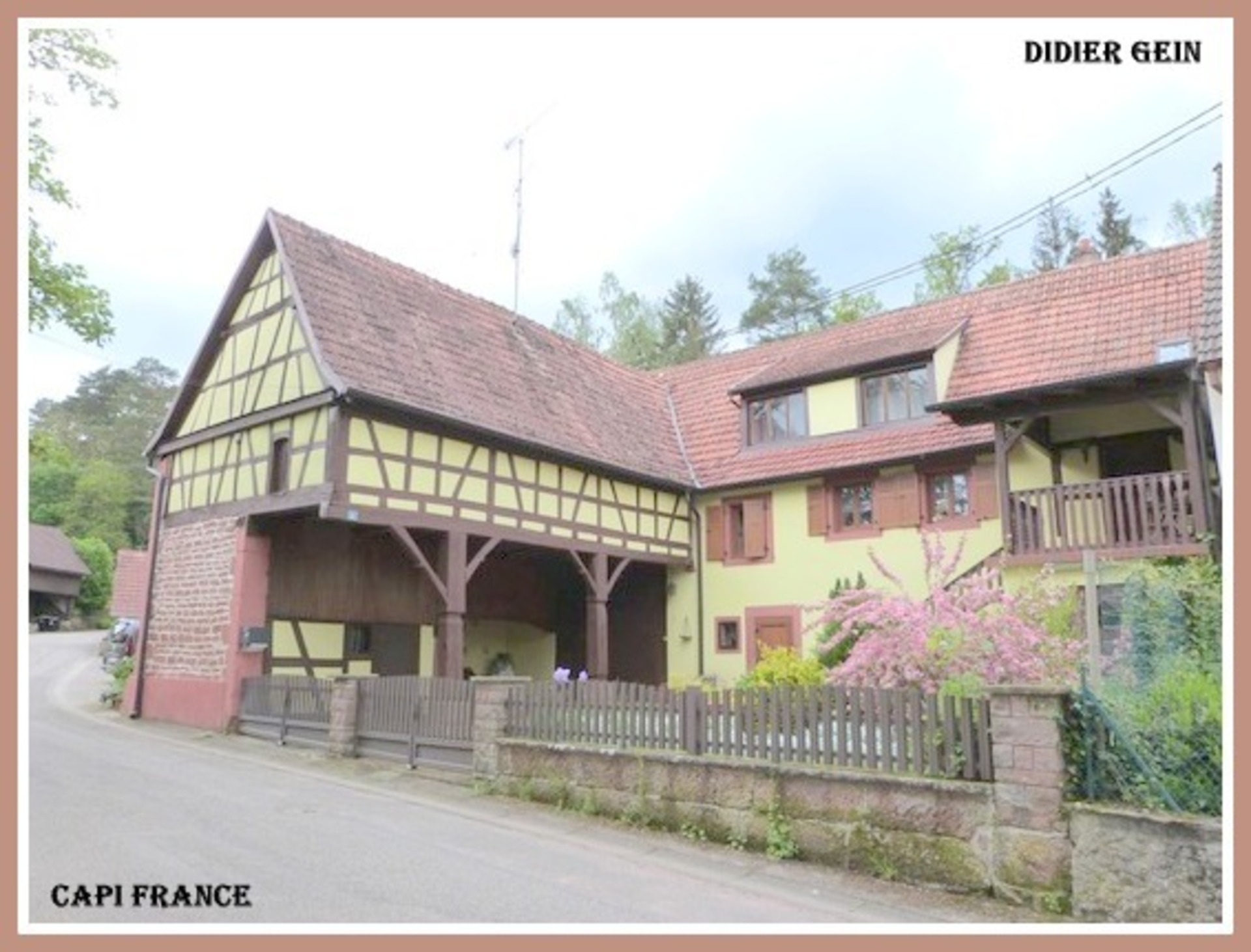 Maison