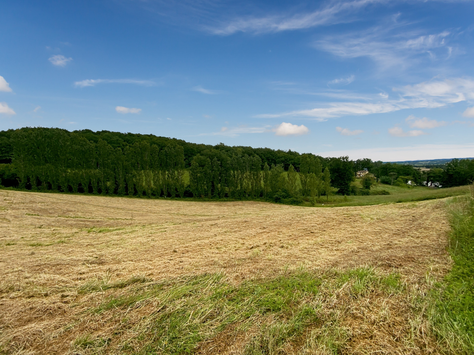 Terrain