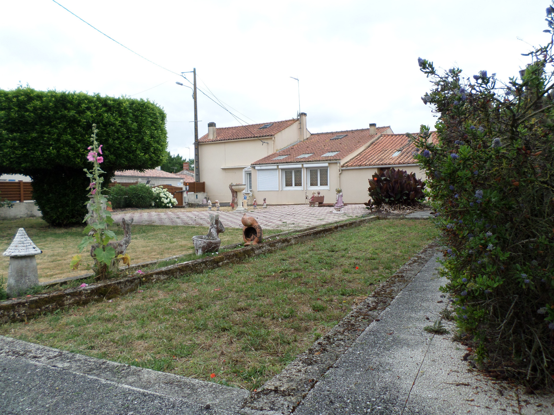 Maison