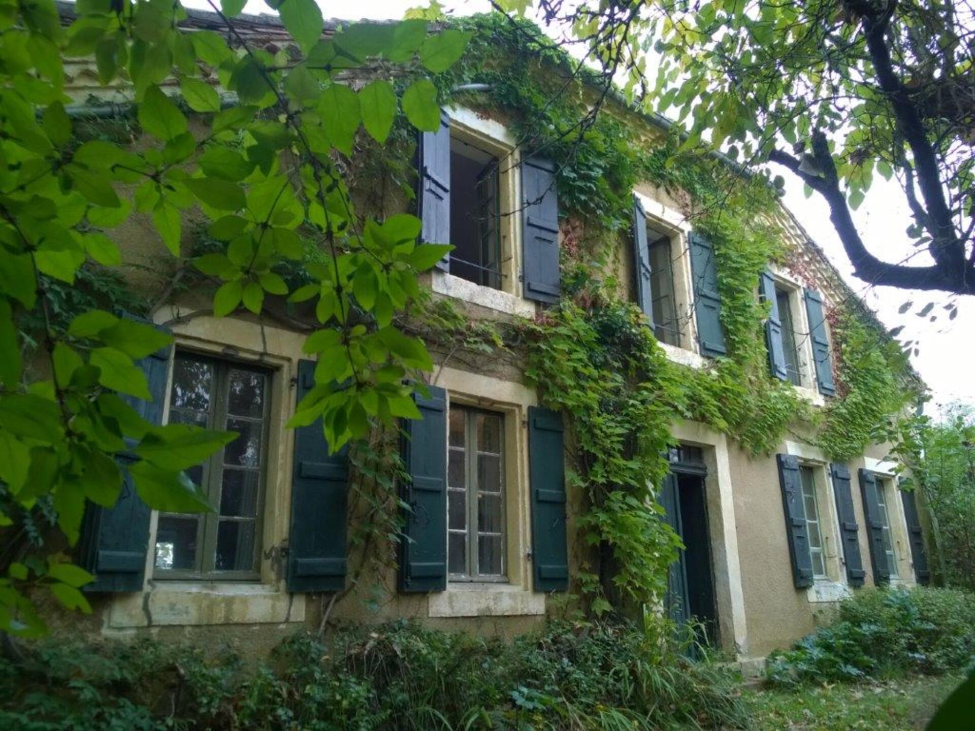 Maison