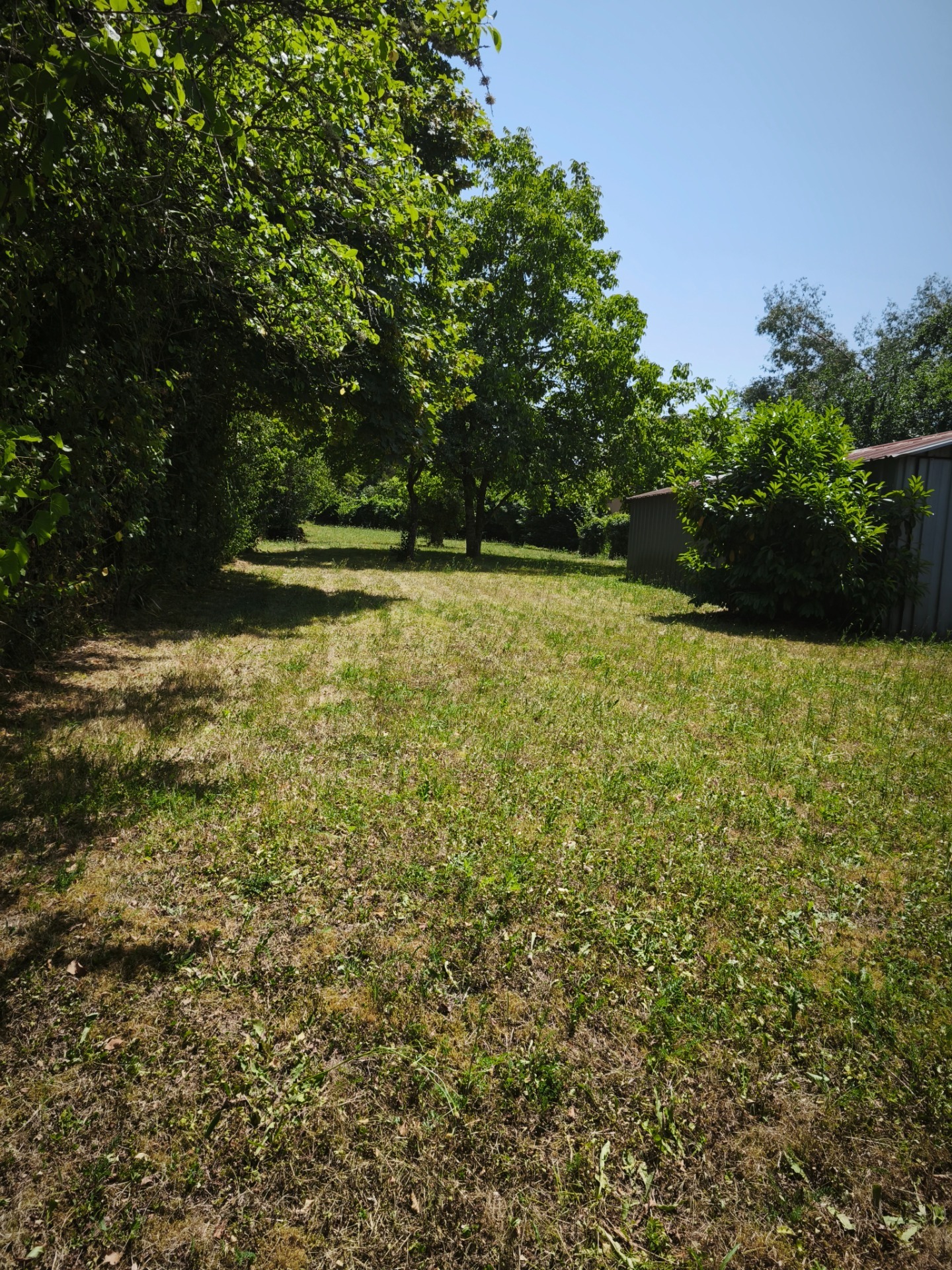 Terrain