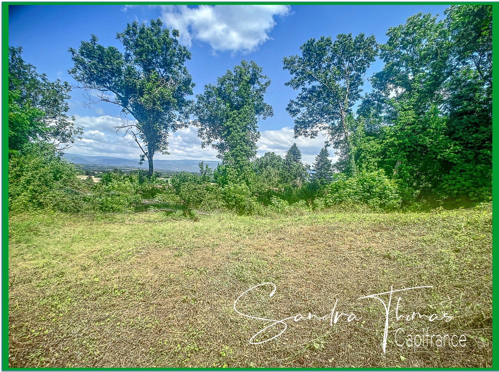 Terrain