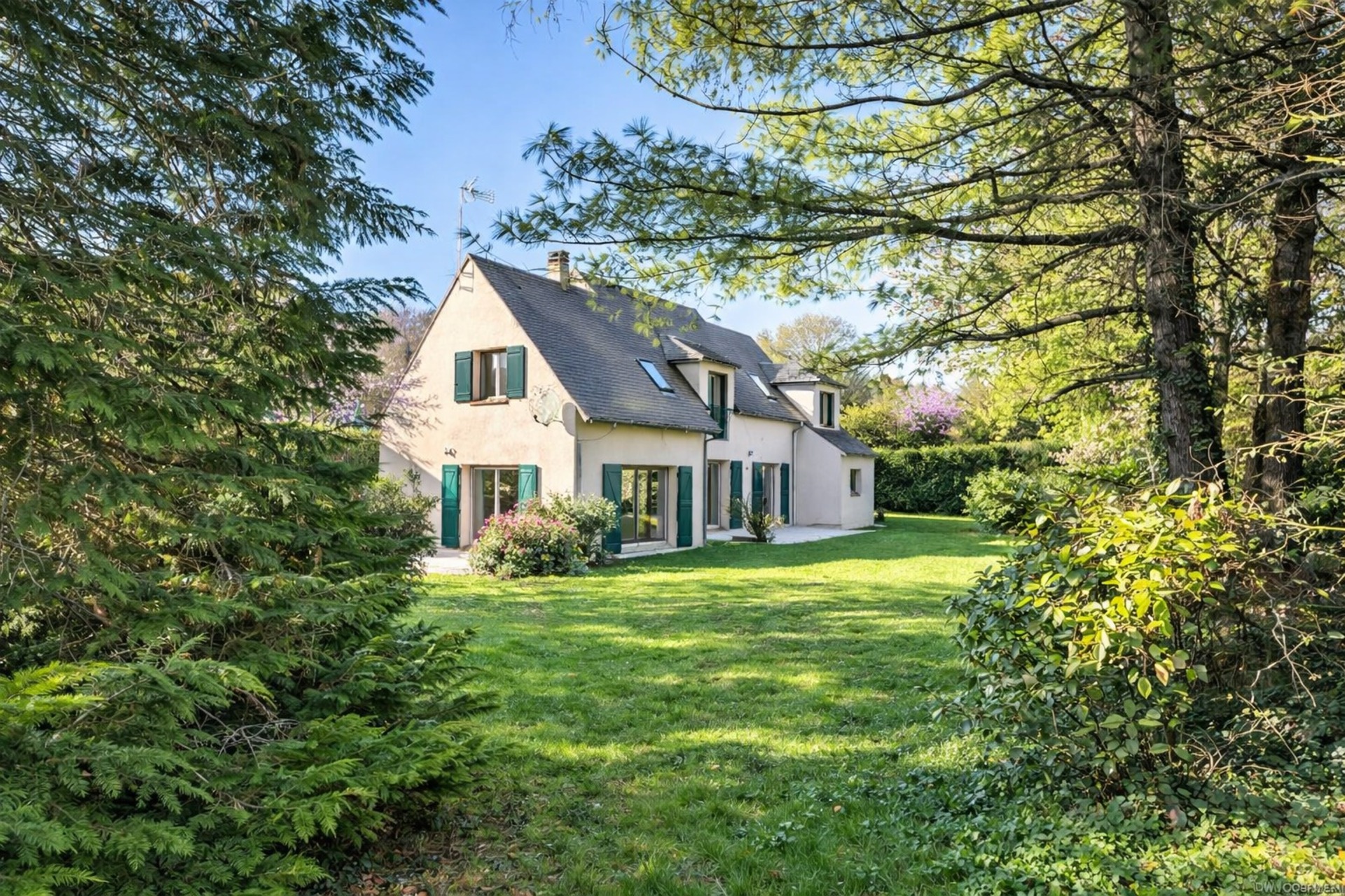 Maison