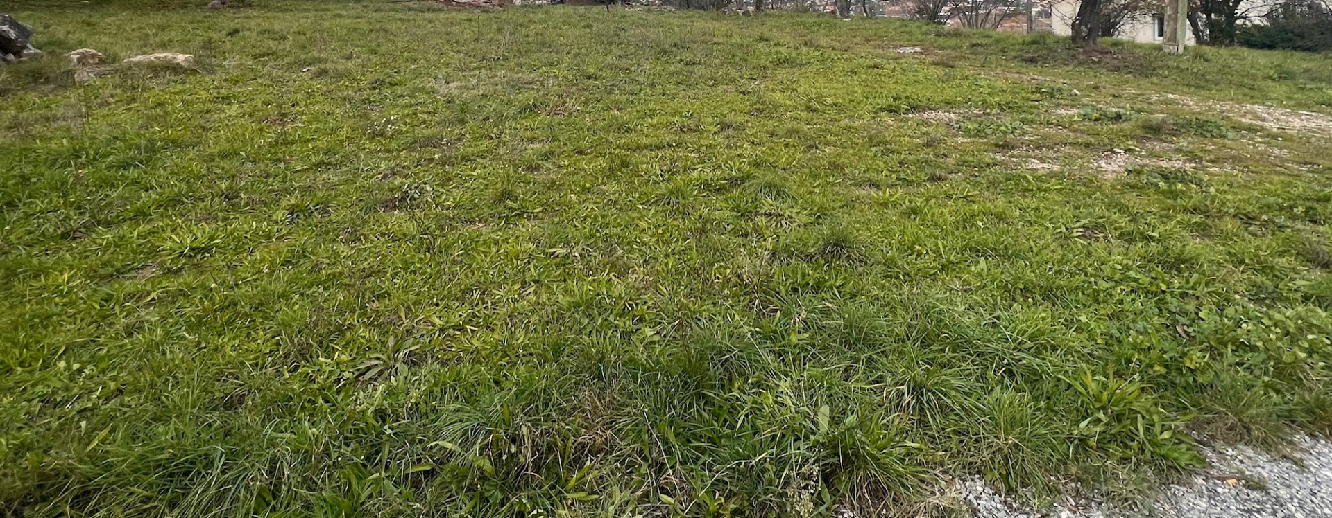 Terrain
