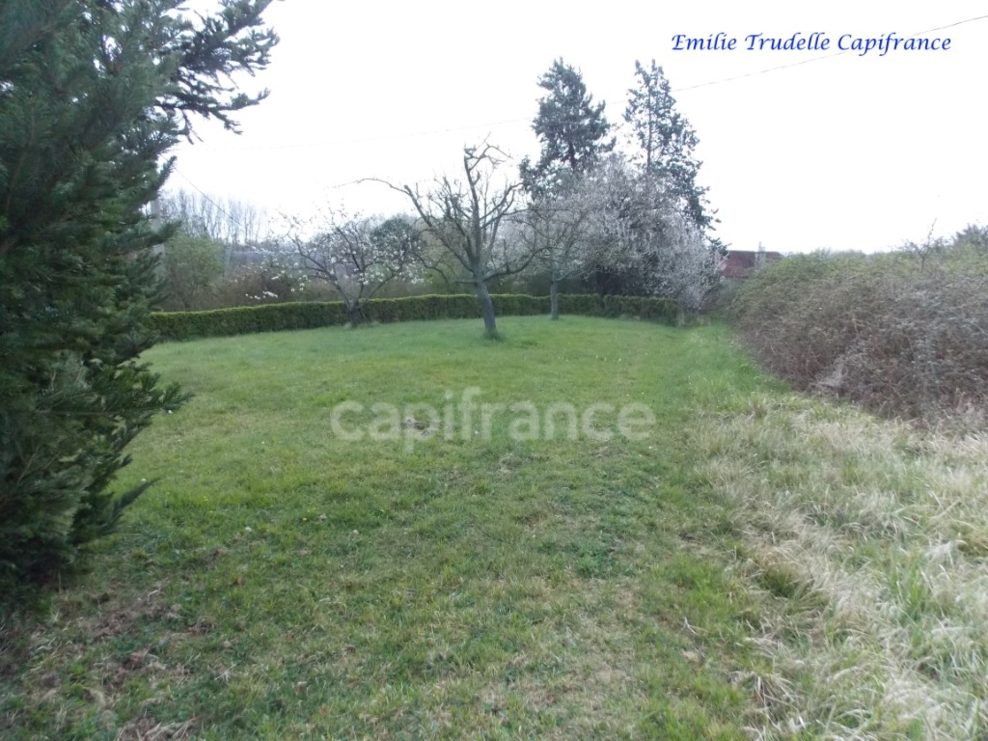 Terrain