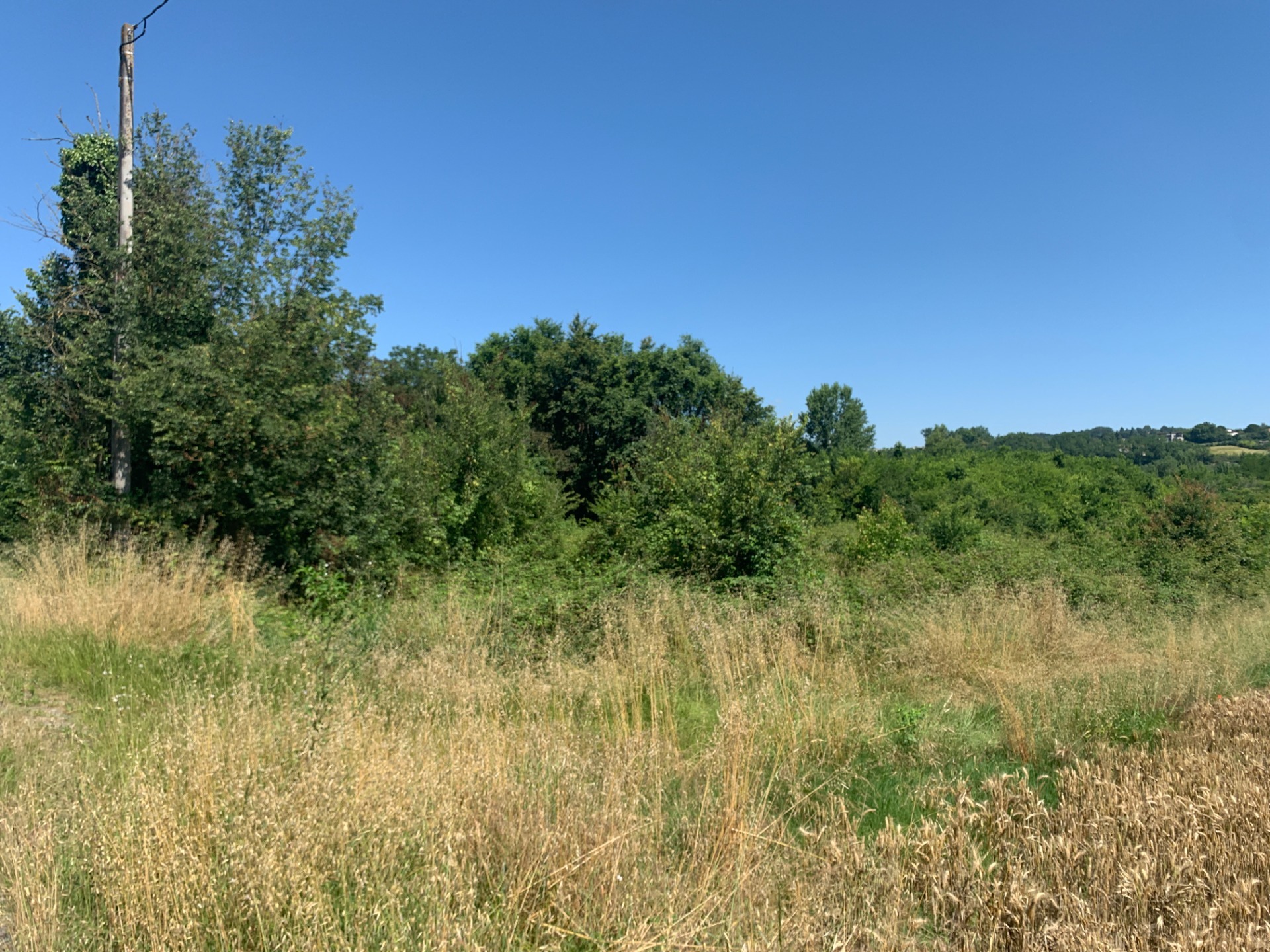 Terrain