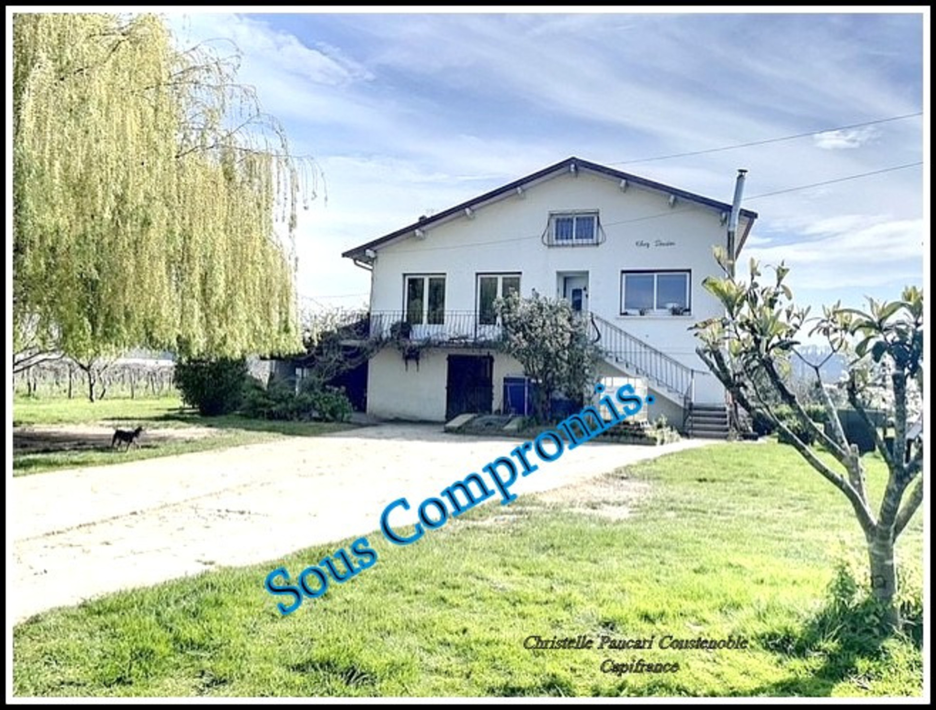 Maison